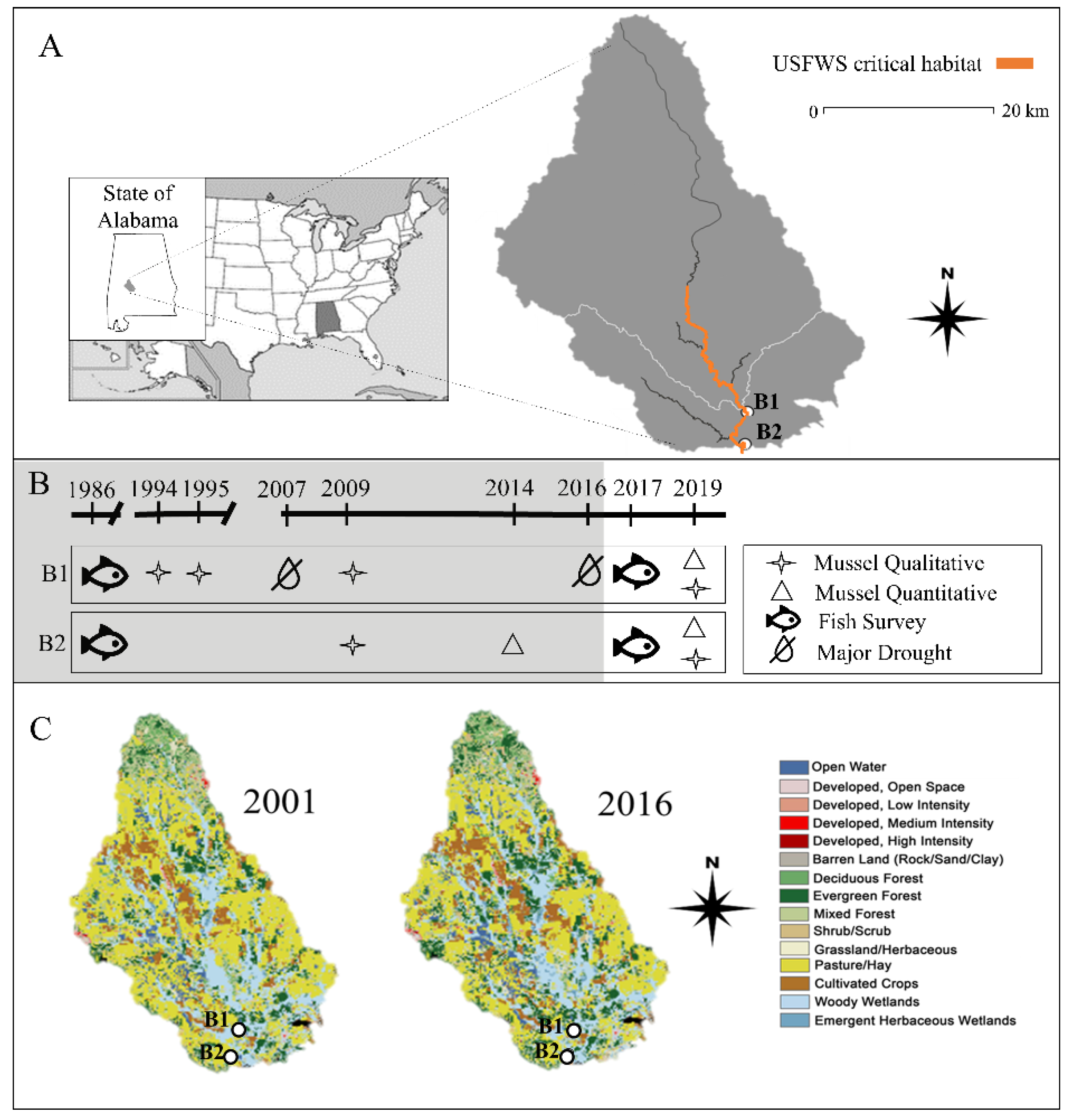 Diversity 13 00122 g001
