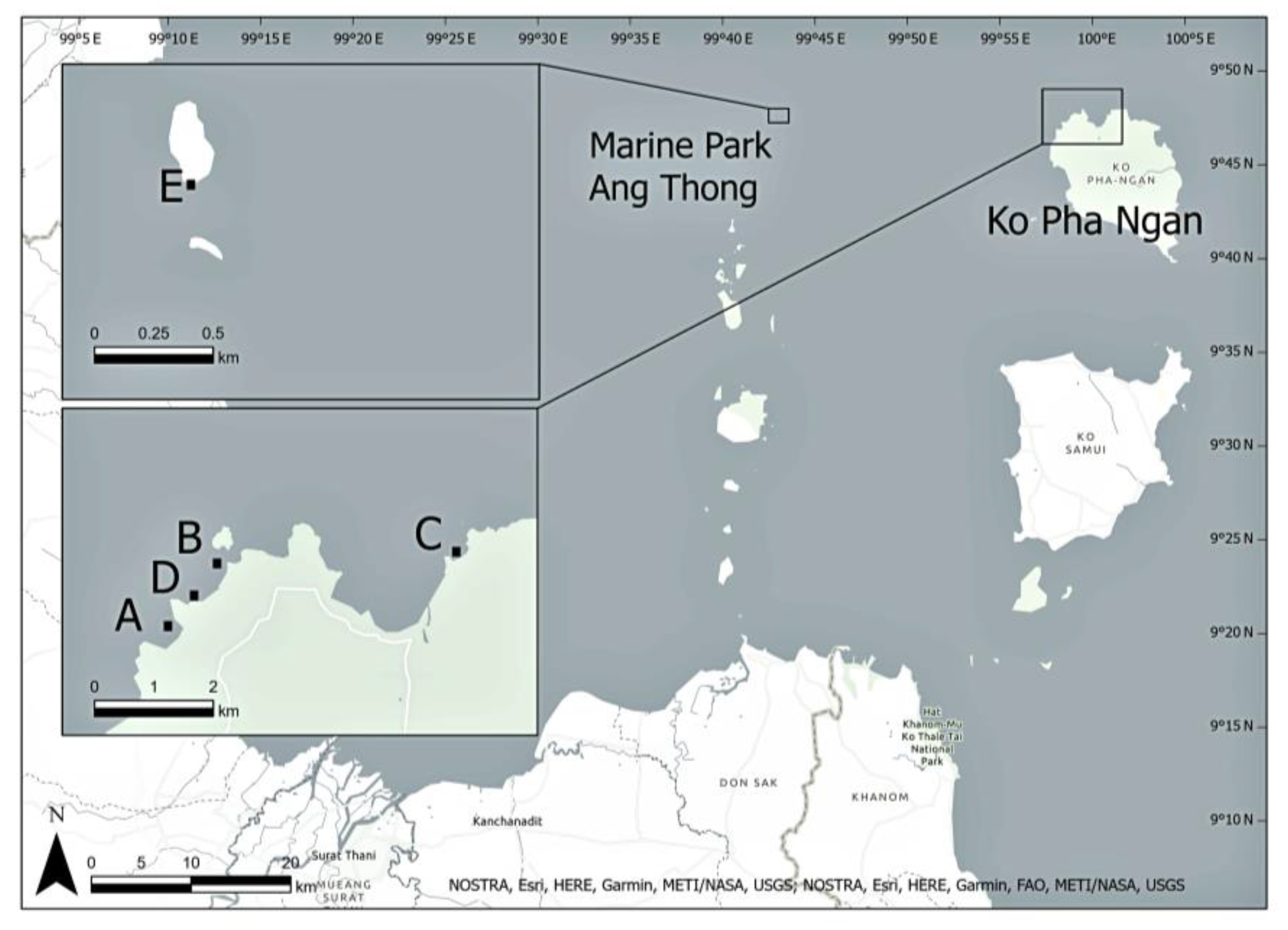 Diversity 13 00123 g001