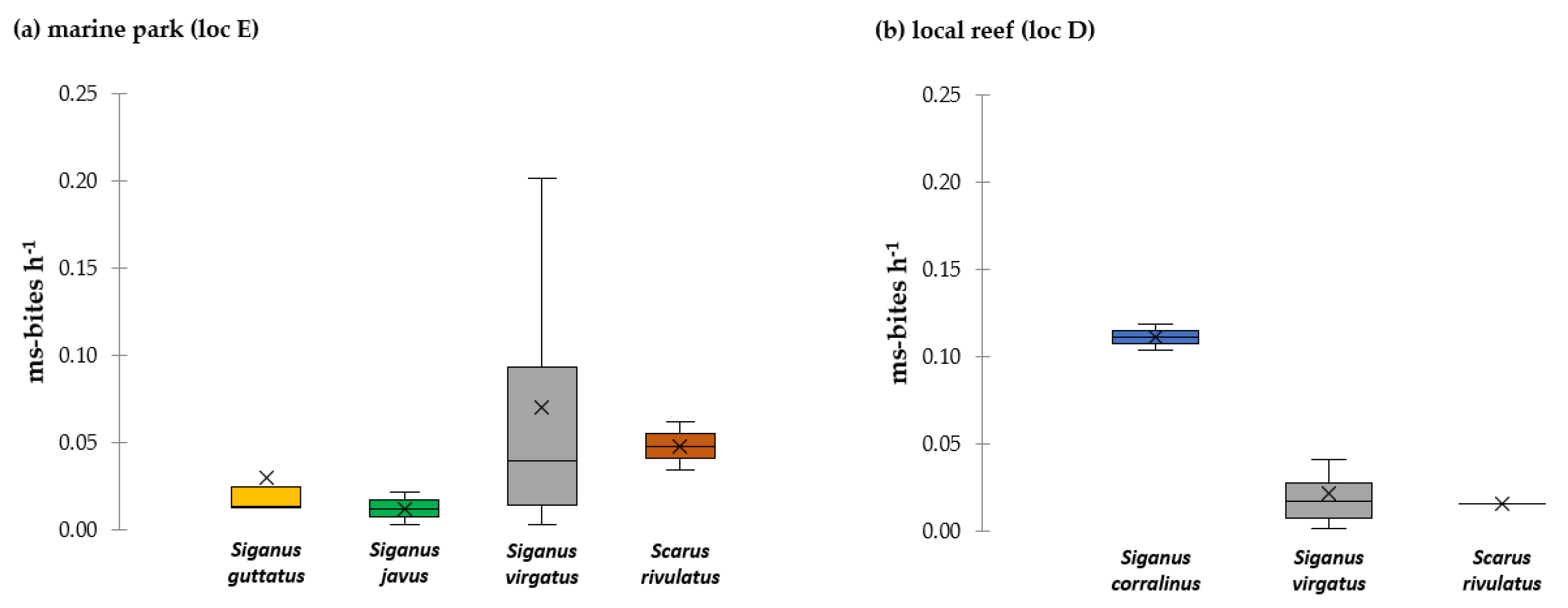 Diversity 13 00123 g003