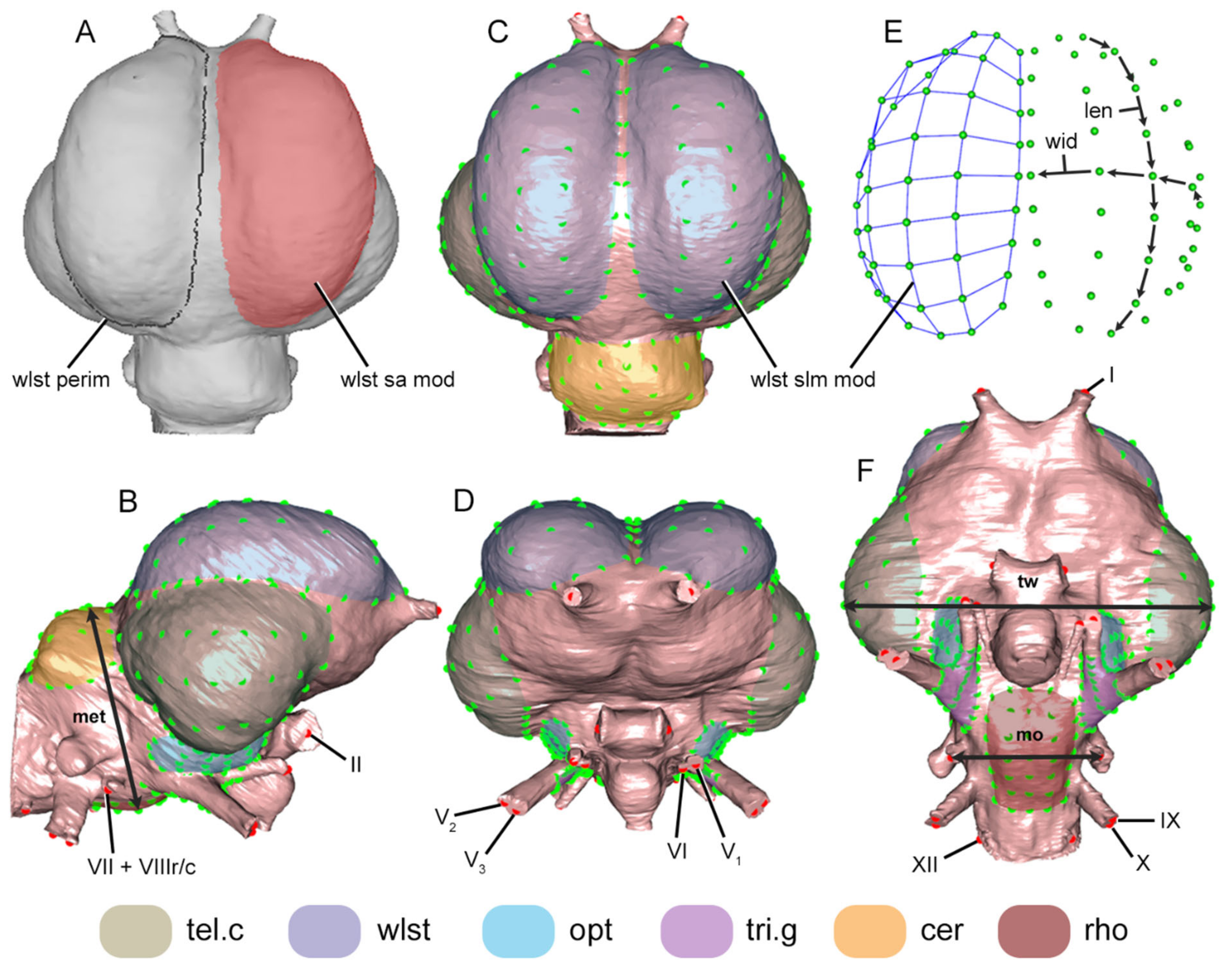 Diversity 13 00124 g002