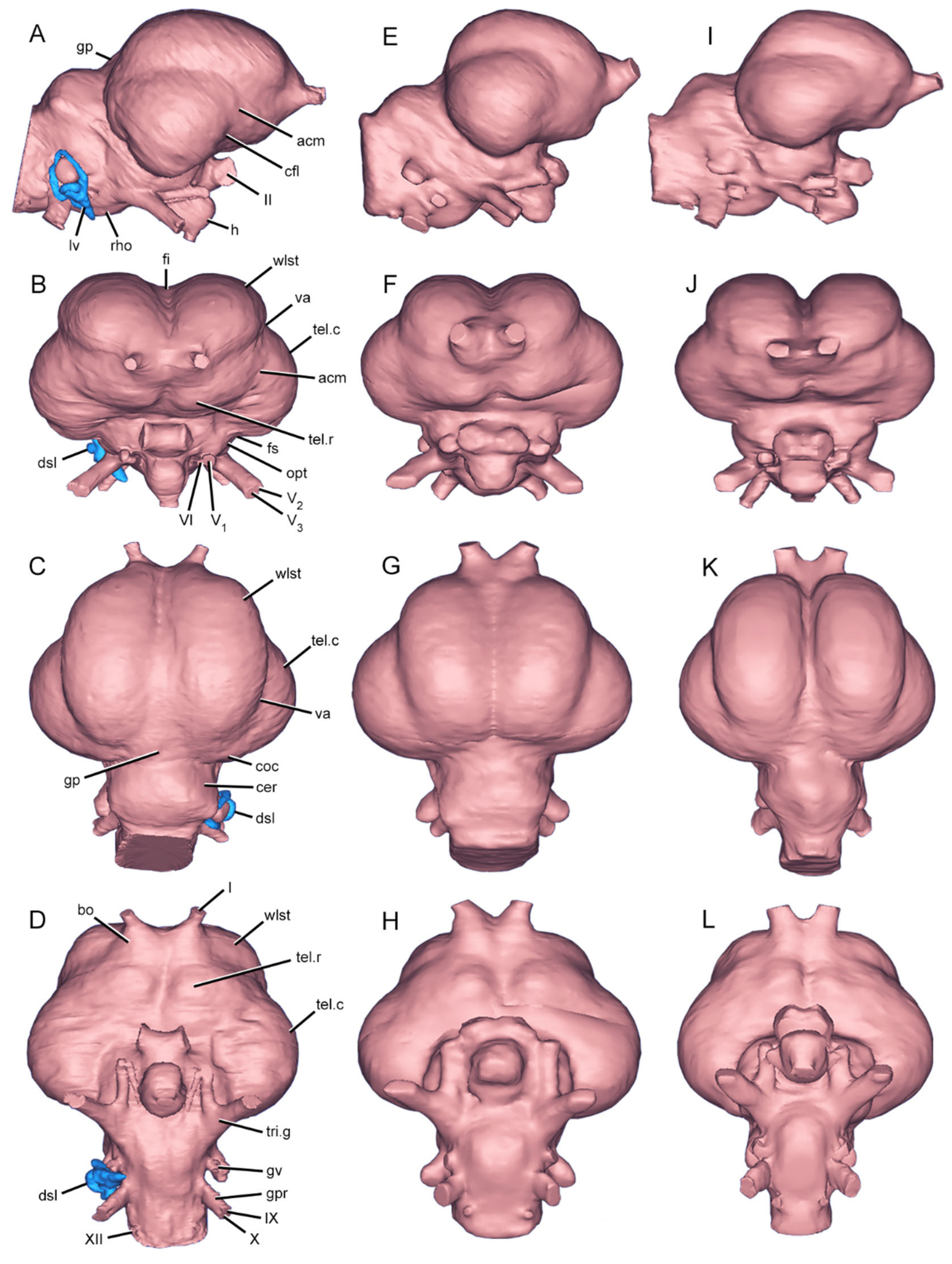 Diversity 13 00124 g003