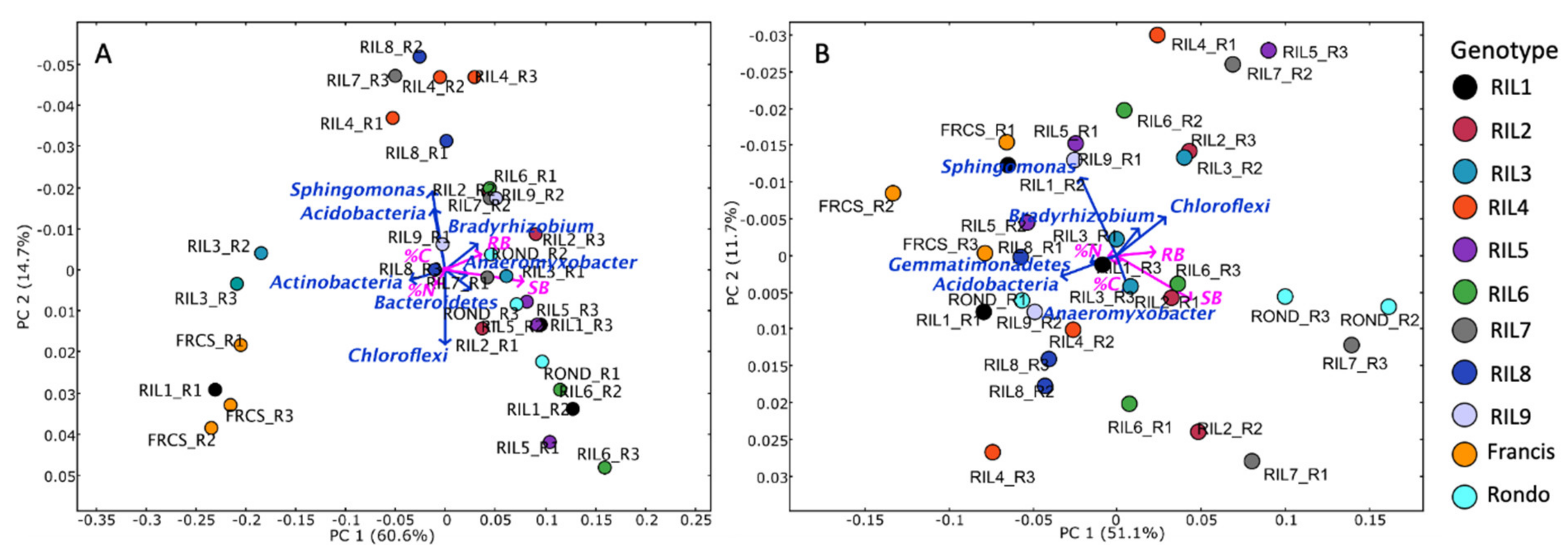 Diversity 13 00125 g001