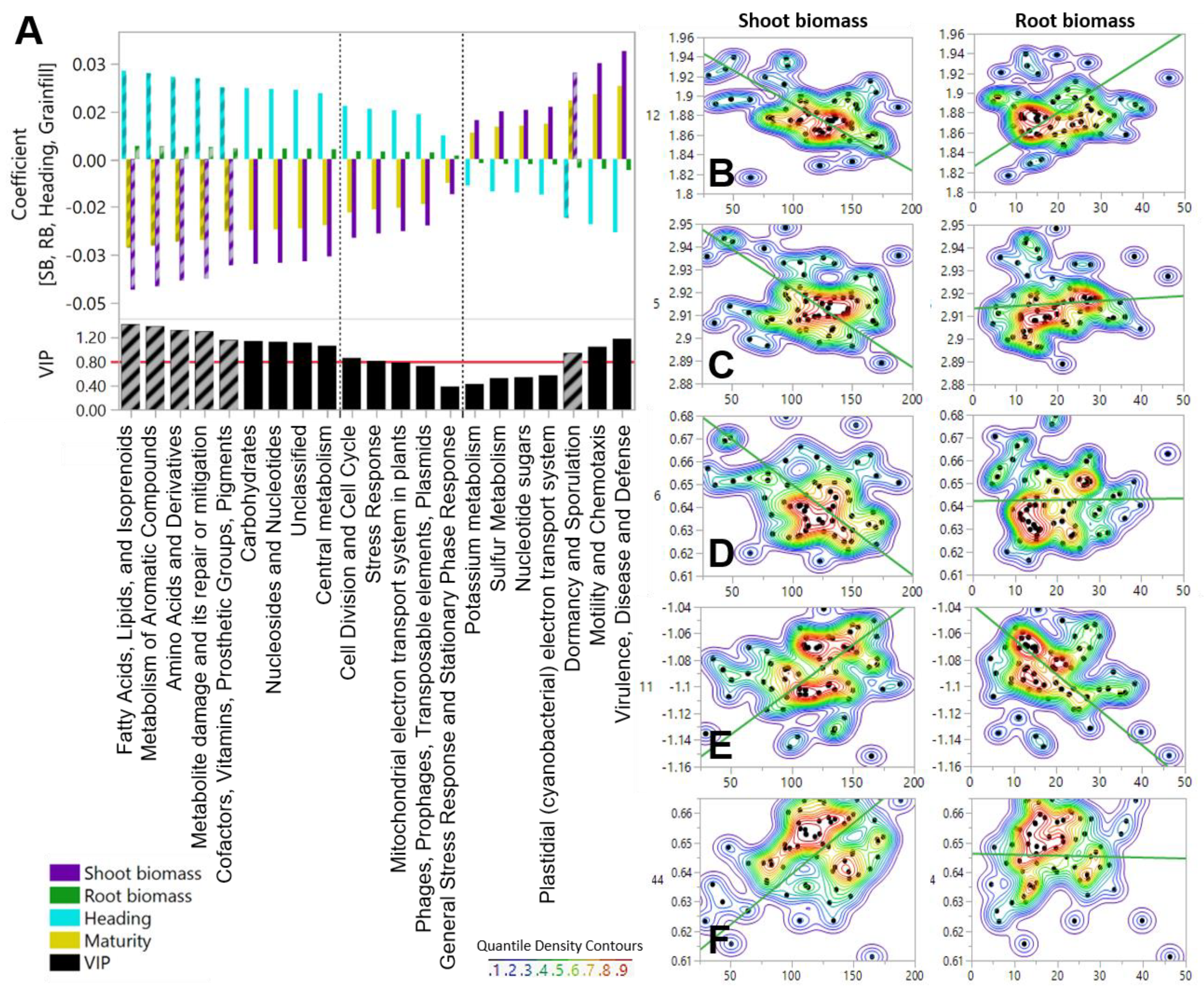 Diversity 13 00125 g003