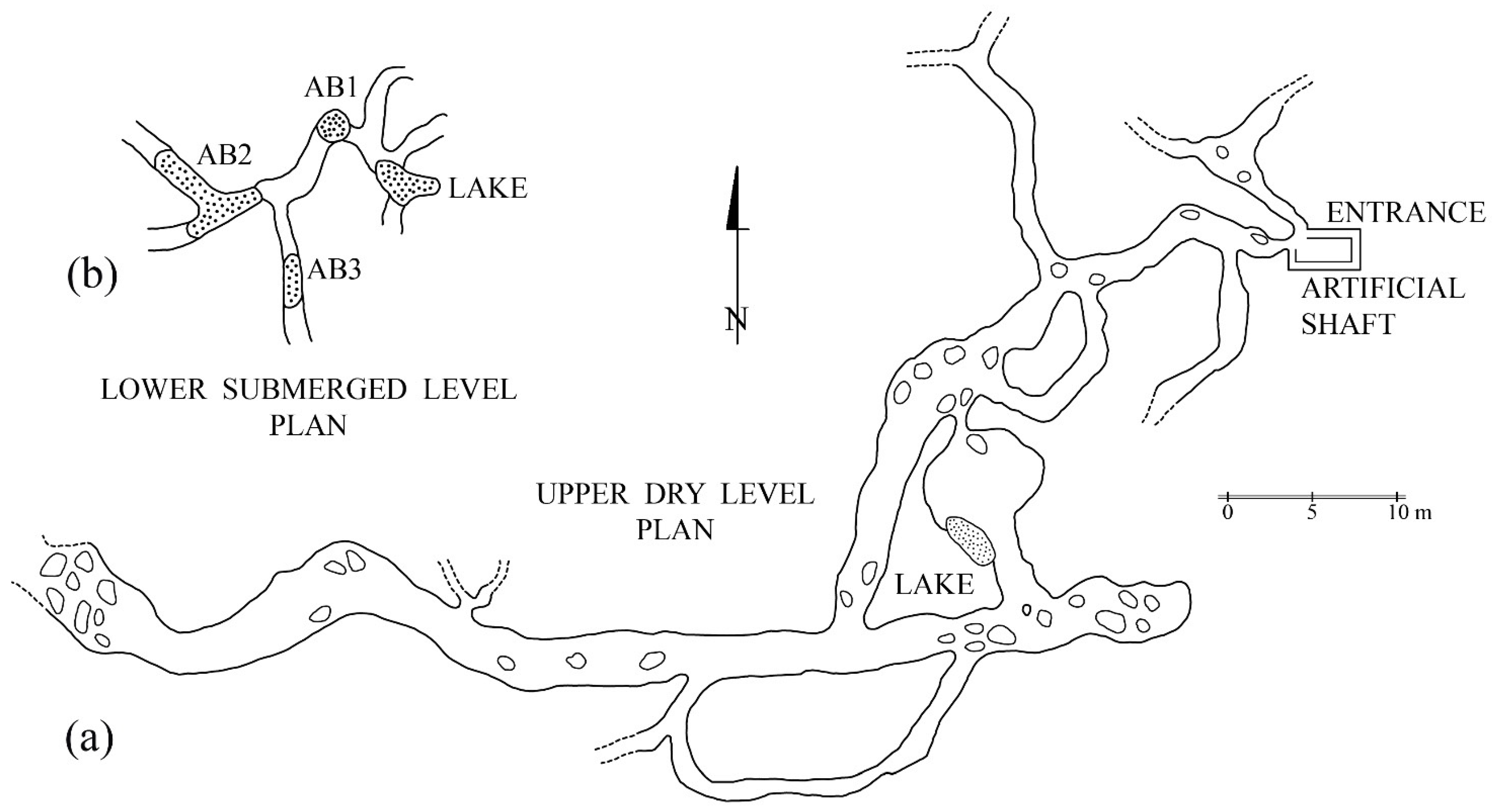 Diversity 13 00128 g001