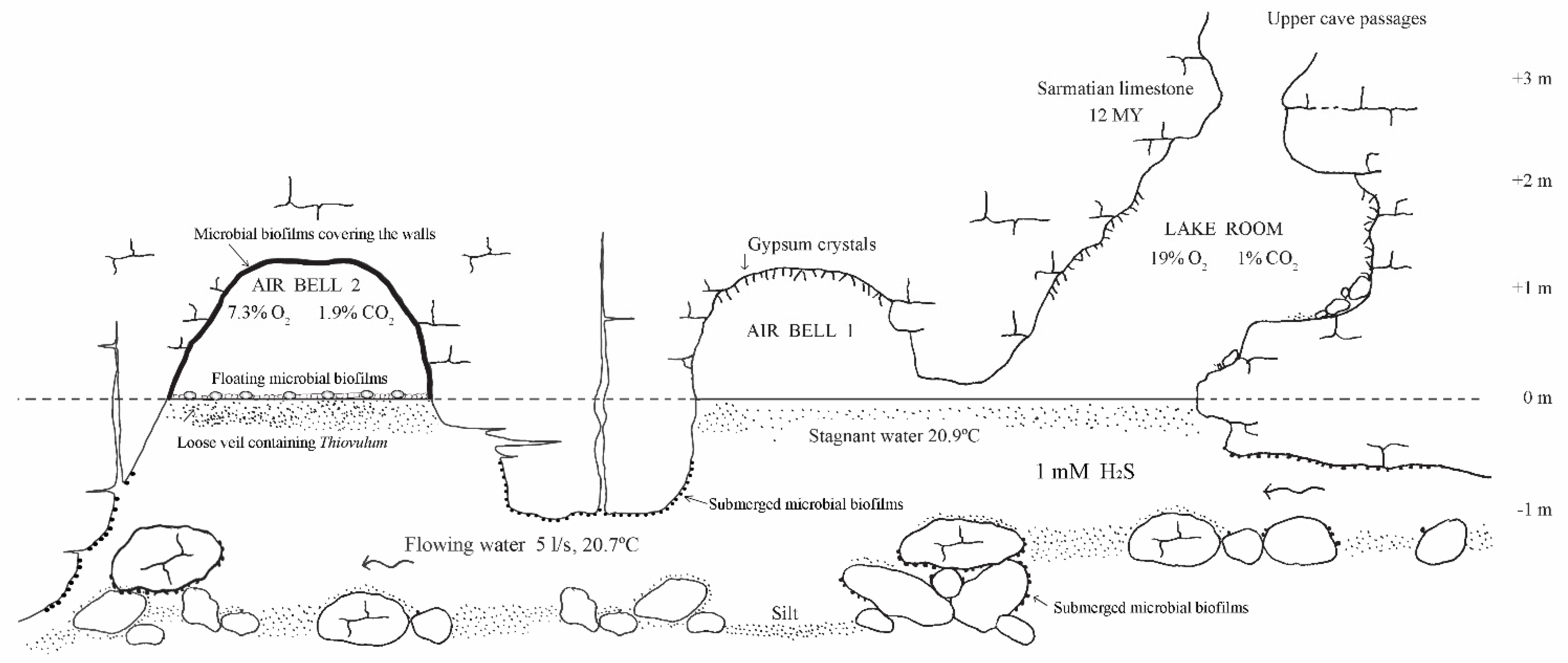 Diversity 13 00128 g002