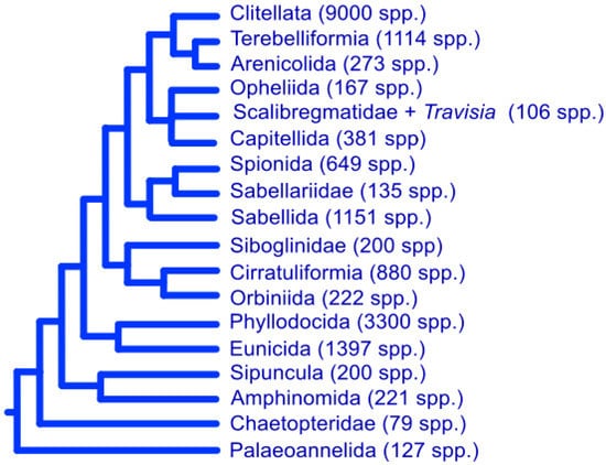 Diversity 13 00129 g003