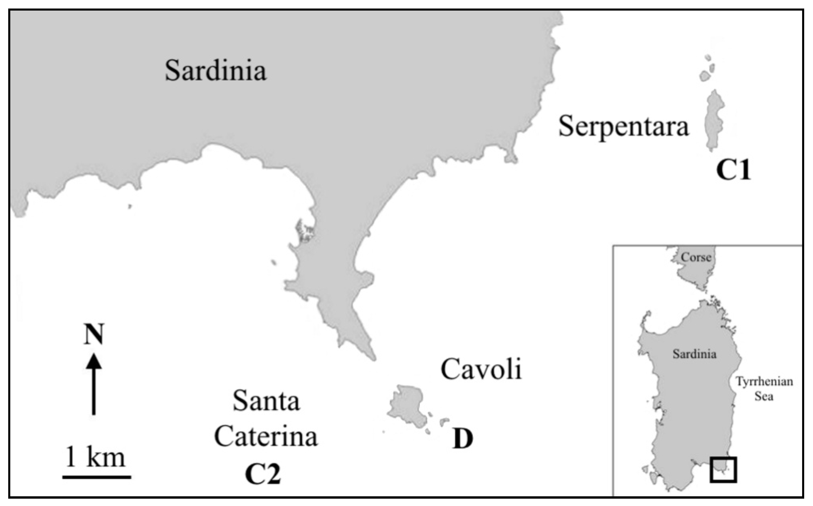 Diversity 13 00133 g001