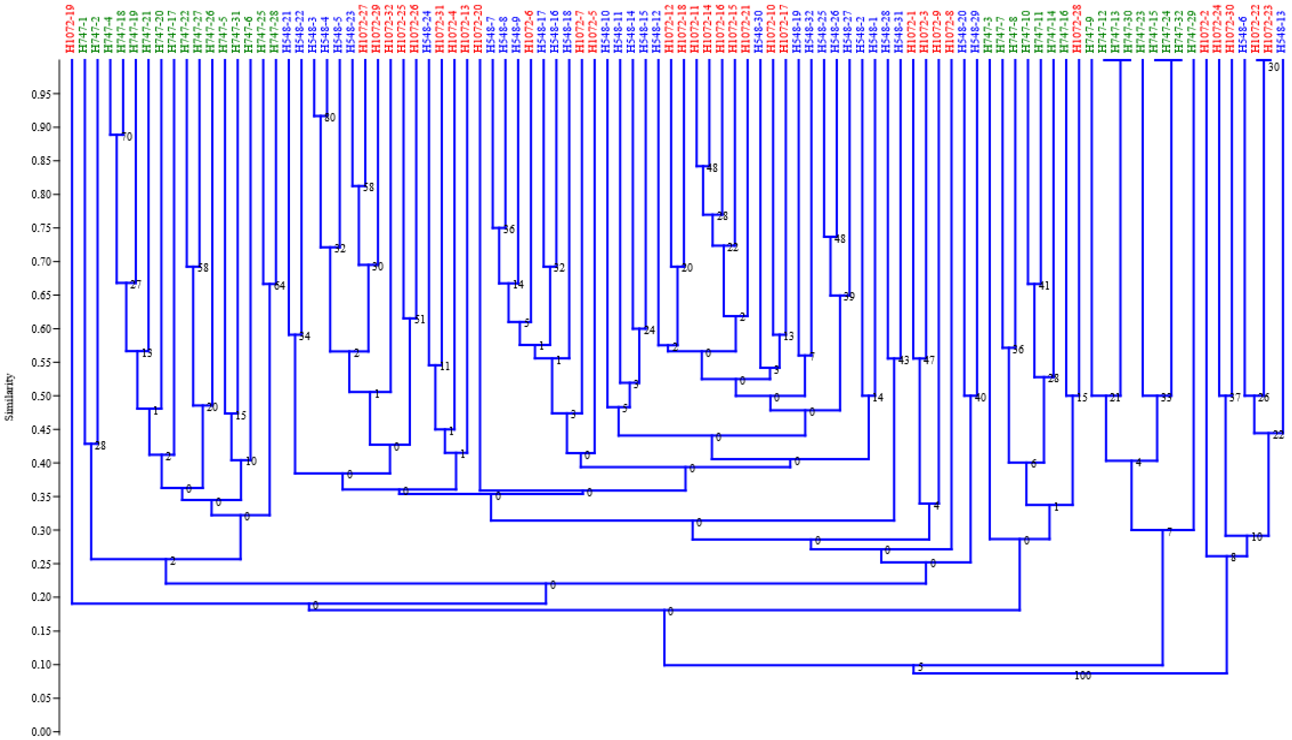 Diversity 13 00135 g001