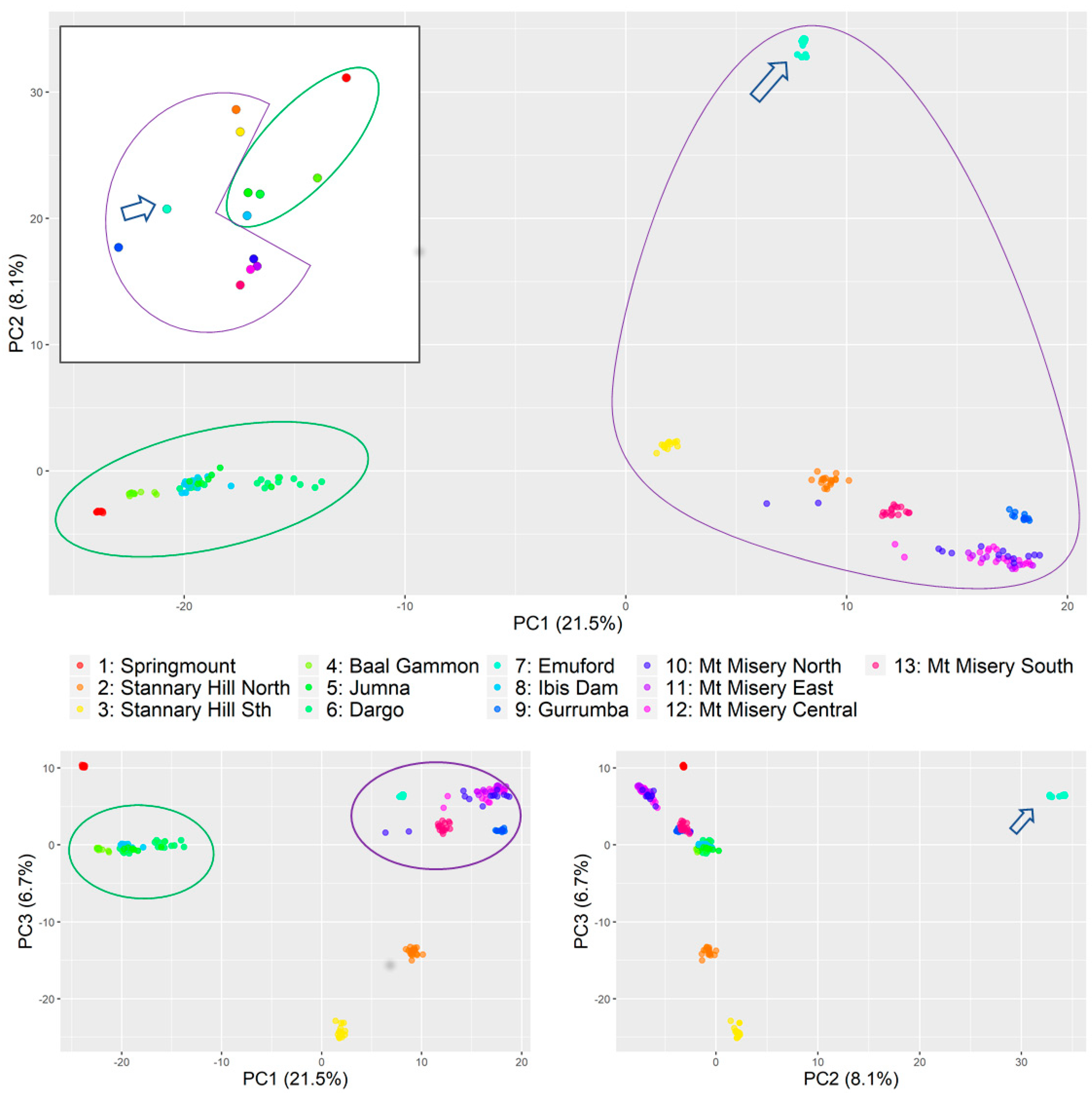Diversity 13 00139 g002
