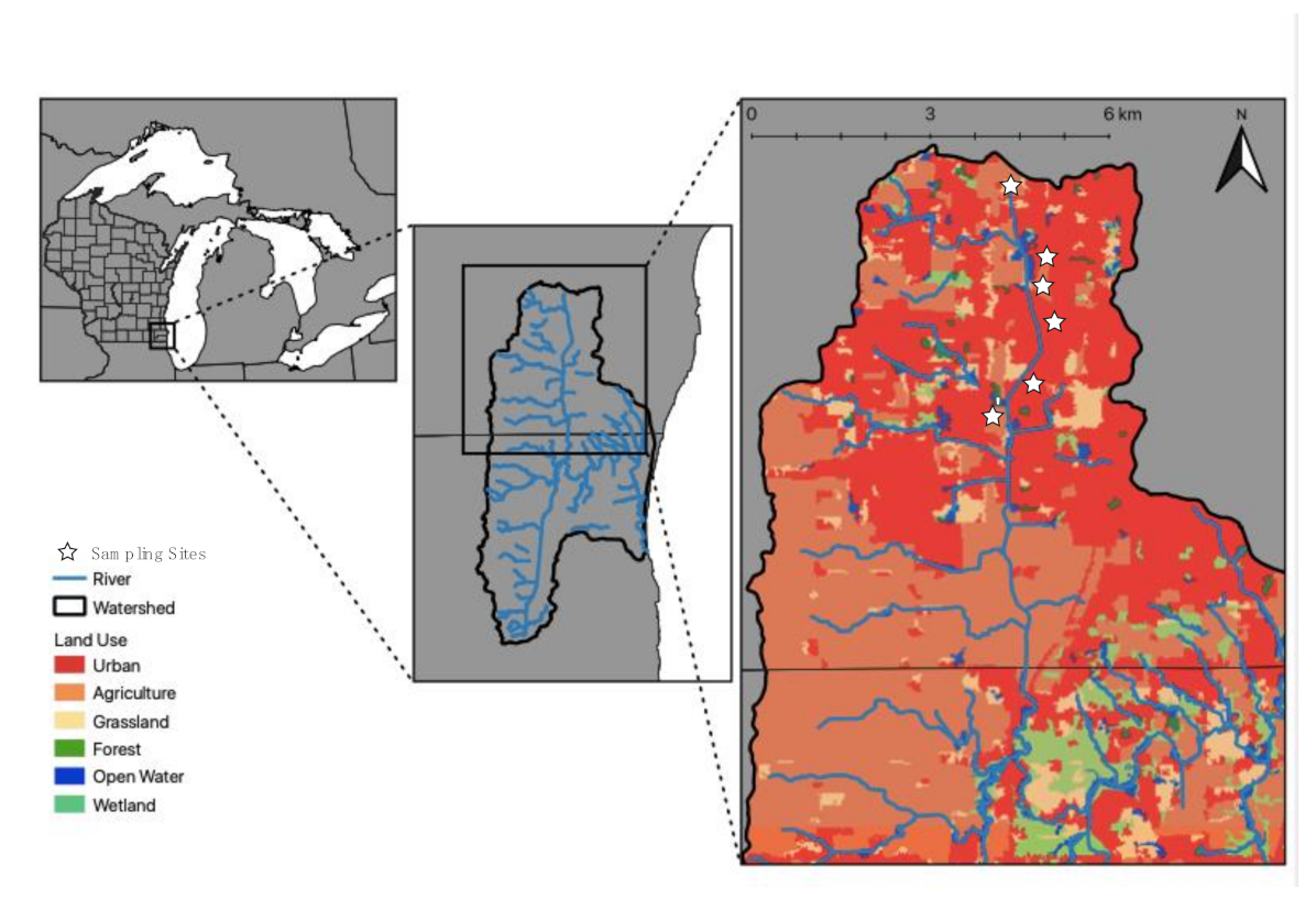 Diversity 13 00149 g001