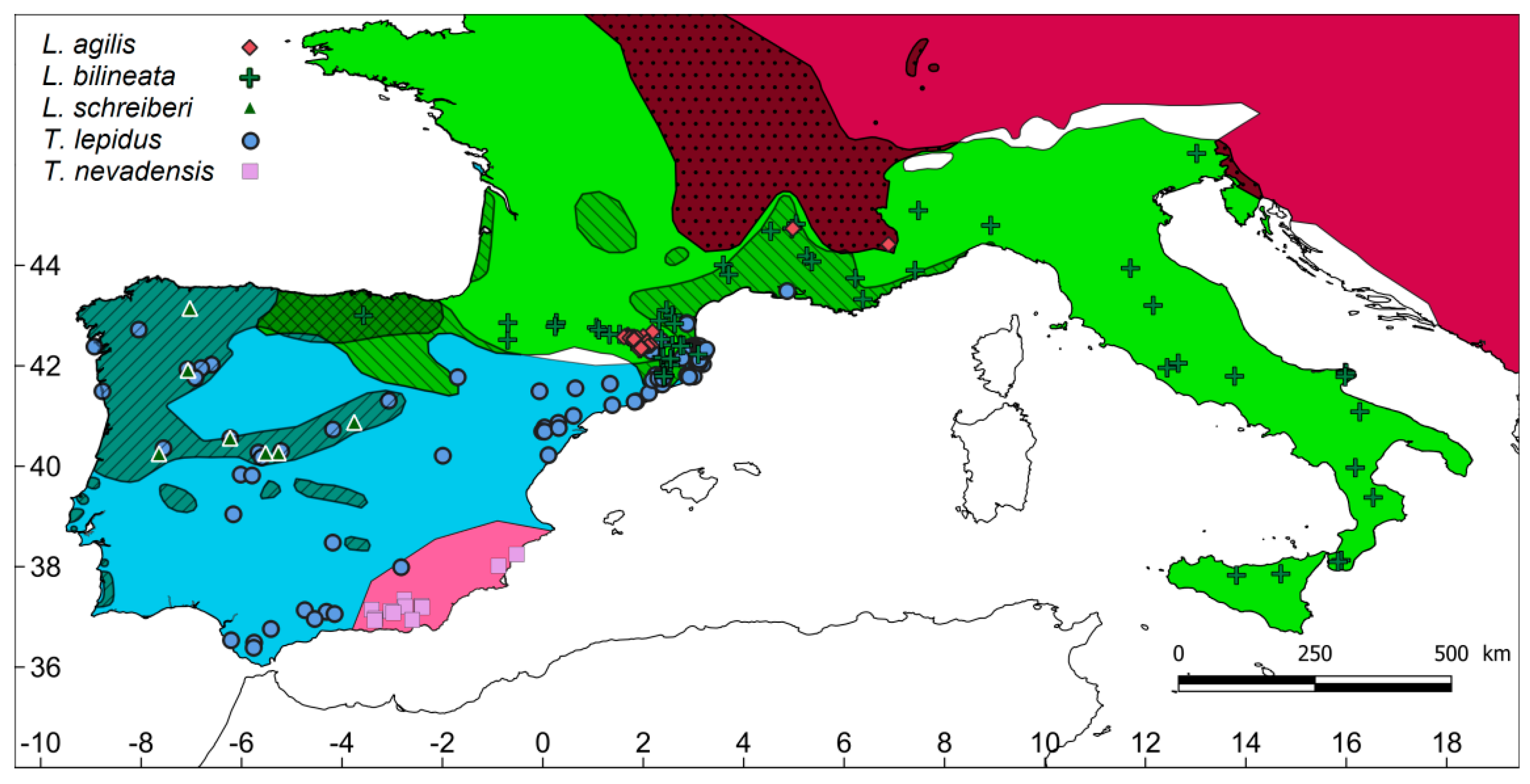 Diversity 13 00155 g001