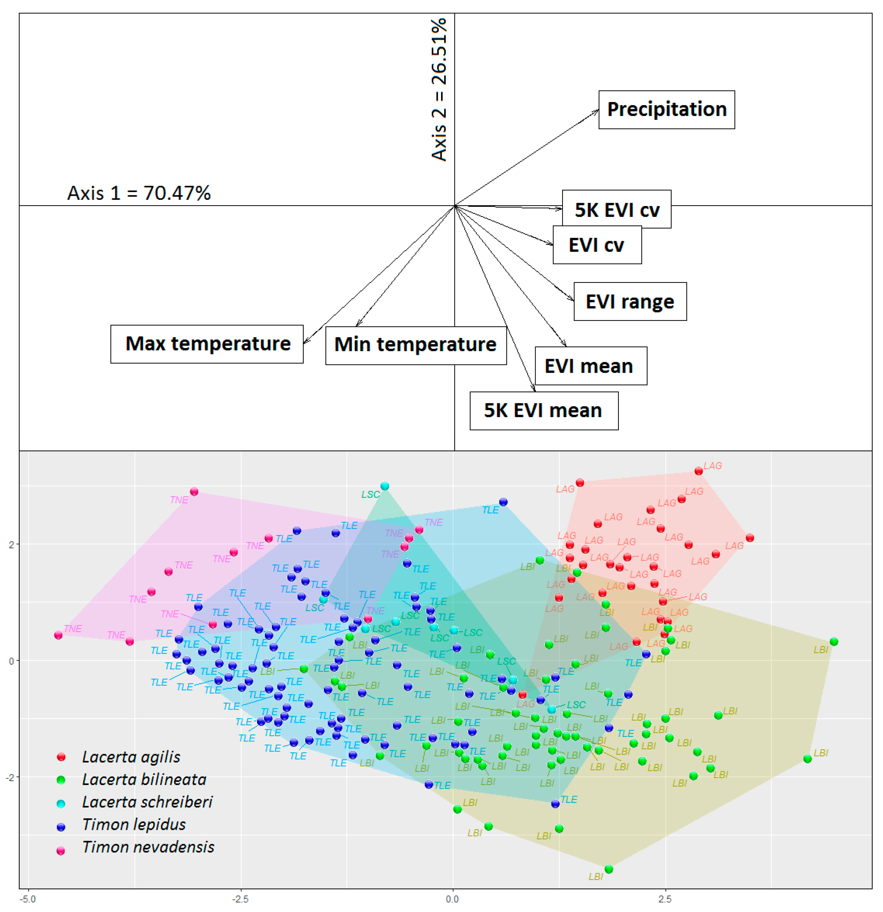 Diversity 13 00155 g002