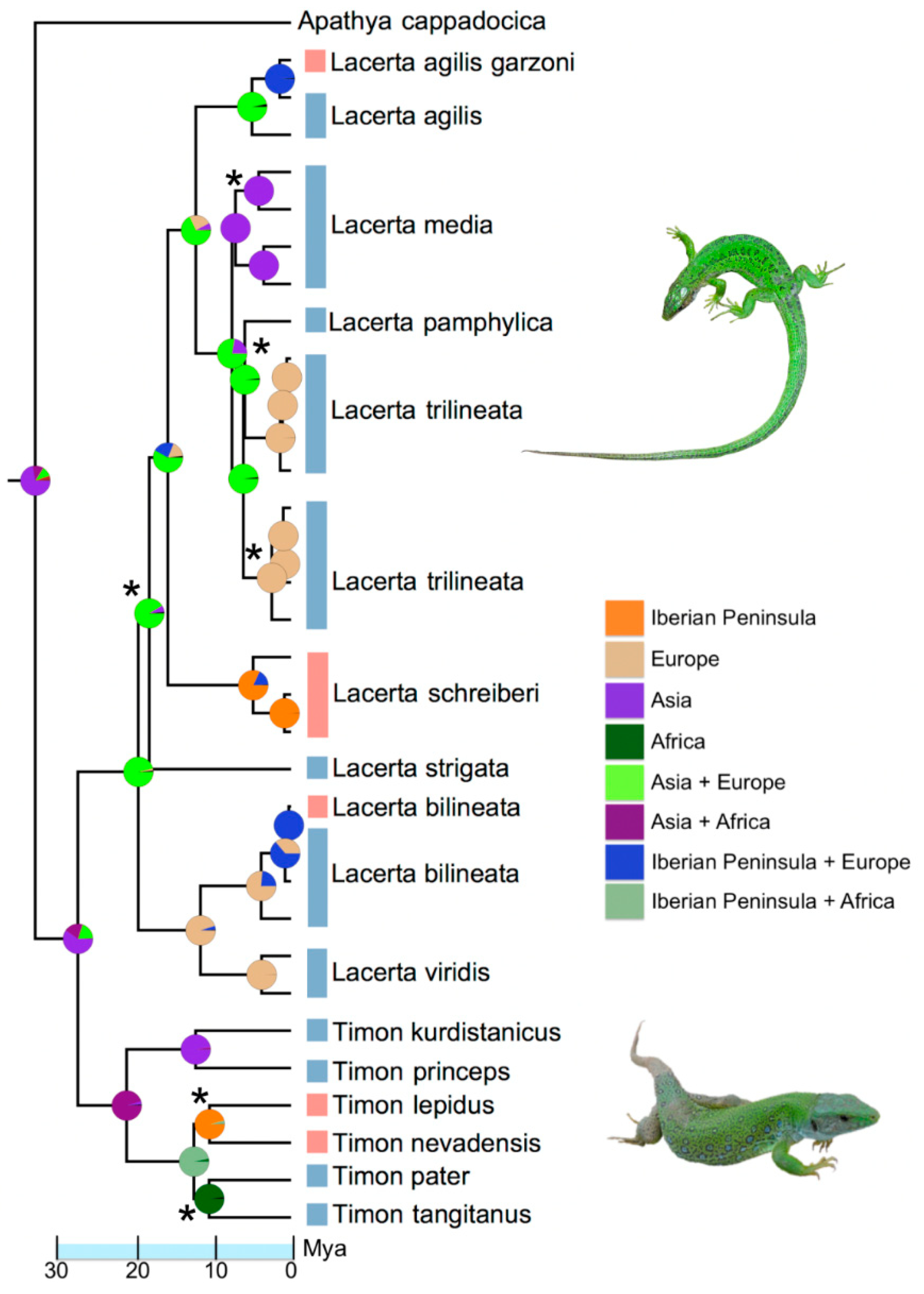 Diversity 13 00155 g004