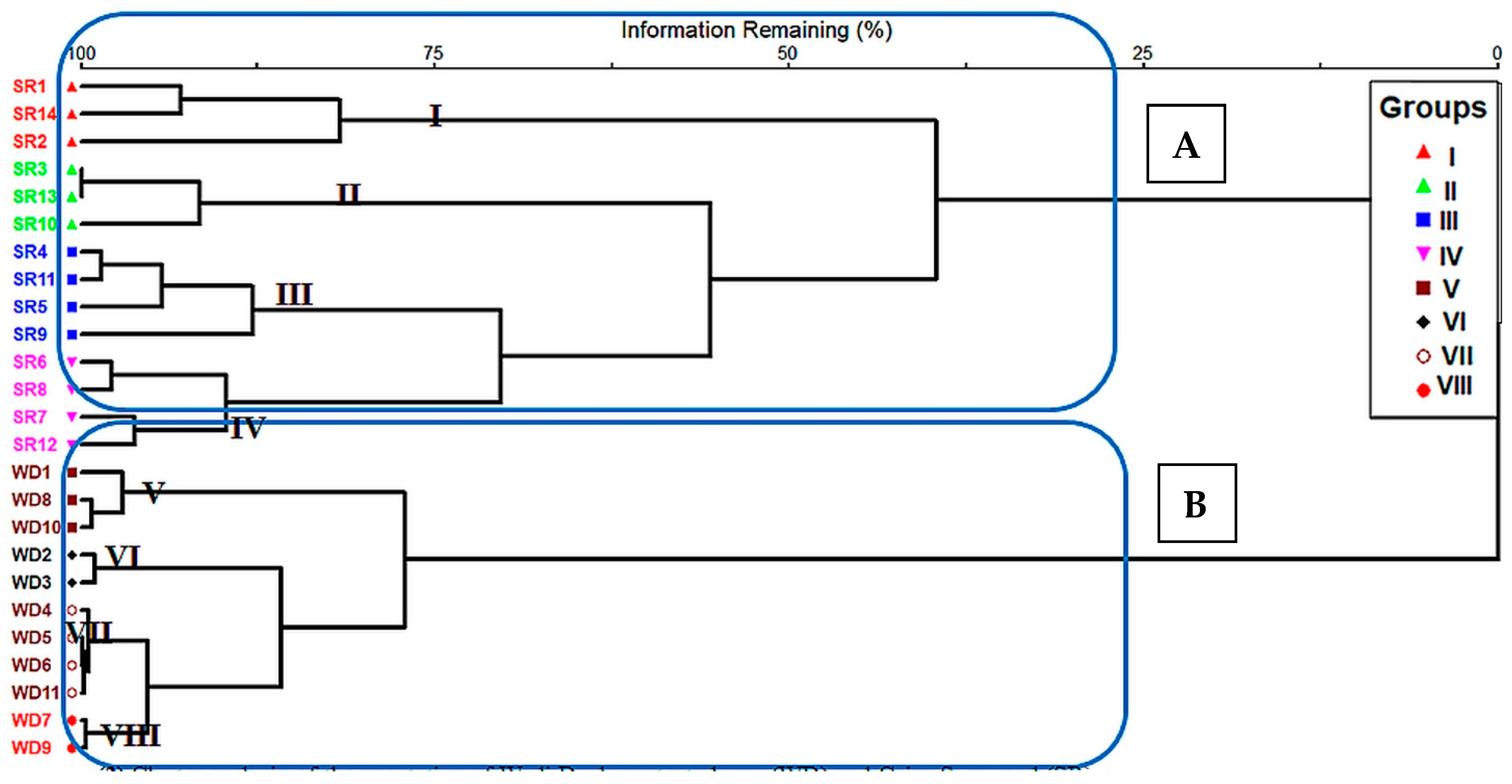 Diversity 13 00157 g003