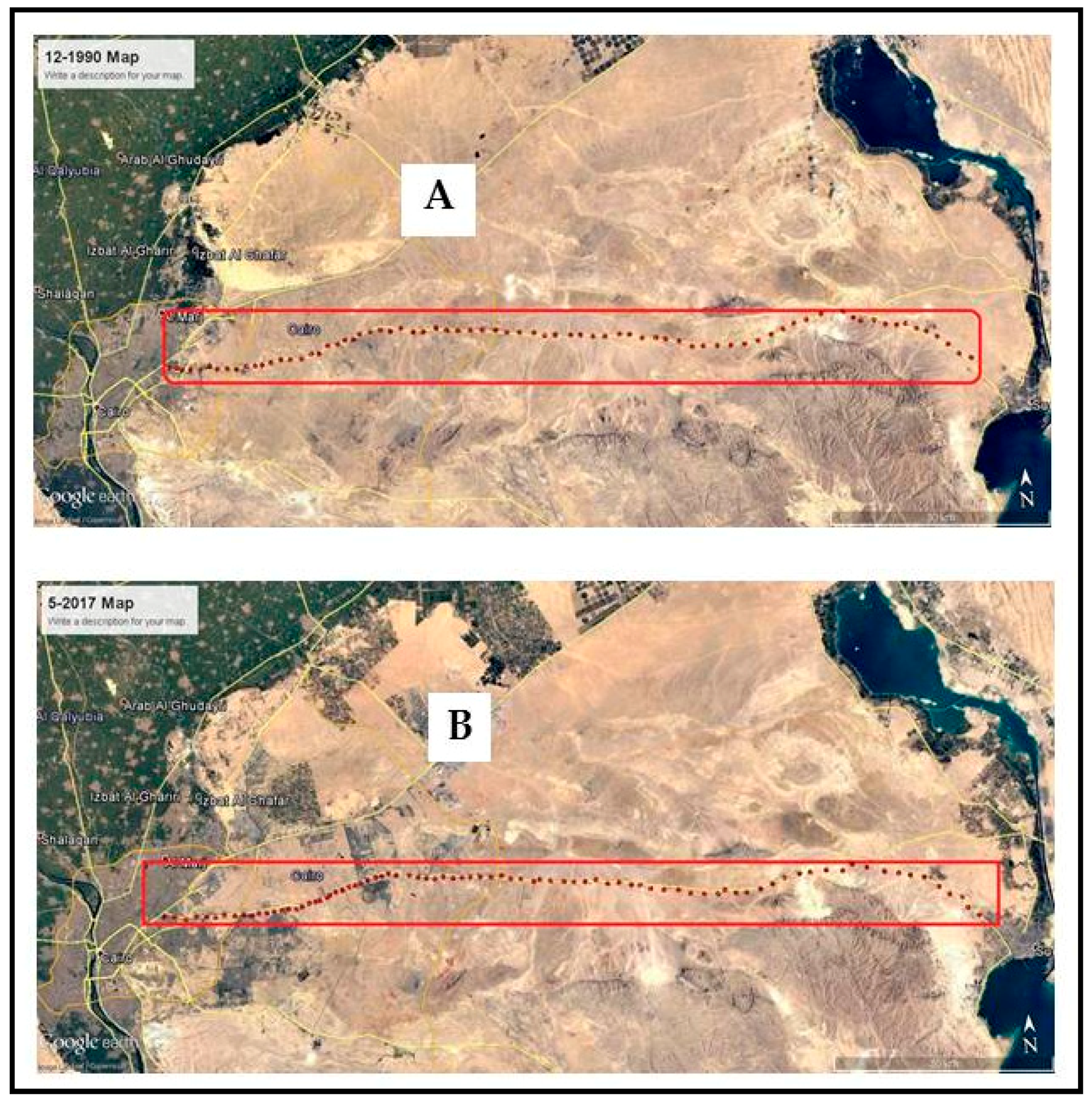 Diversity 13 00157 g006