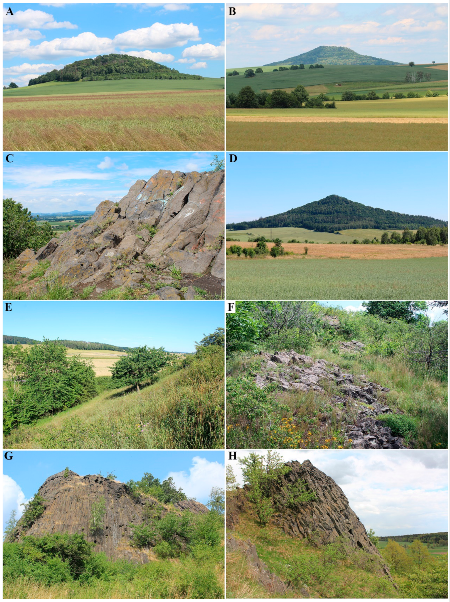 Diversity 13 00164 g001 Diversity 13 00164 g001