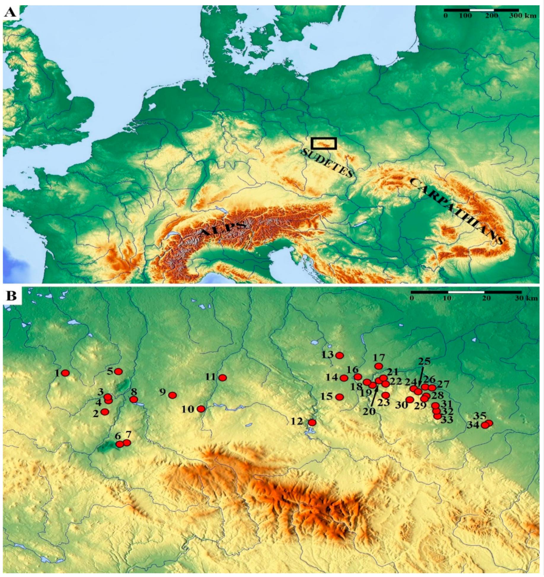Diversity 13 00164 g002 Diversity 13 00164 g002