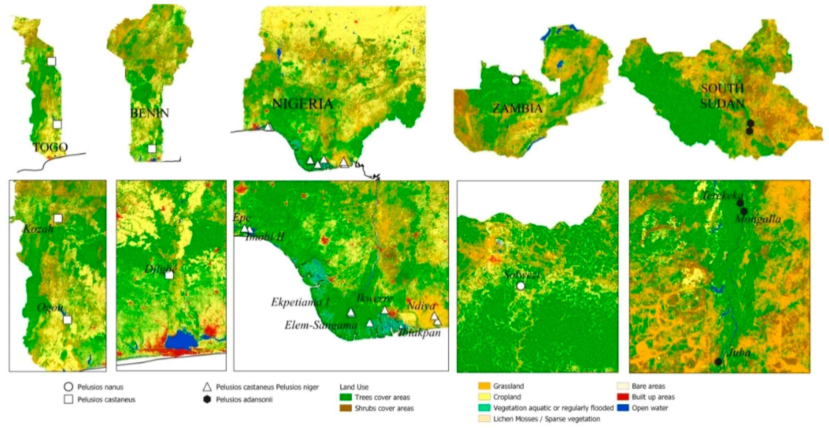 Diversity 13 00165 g002