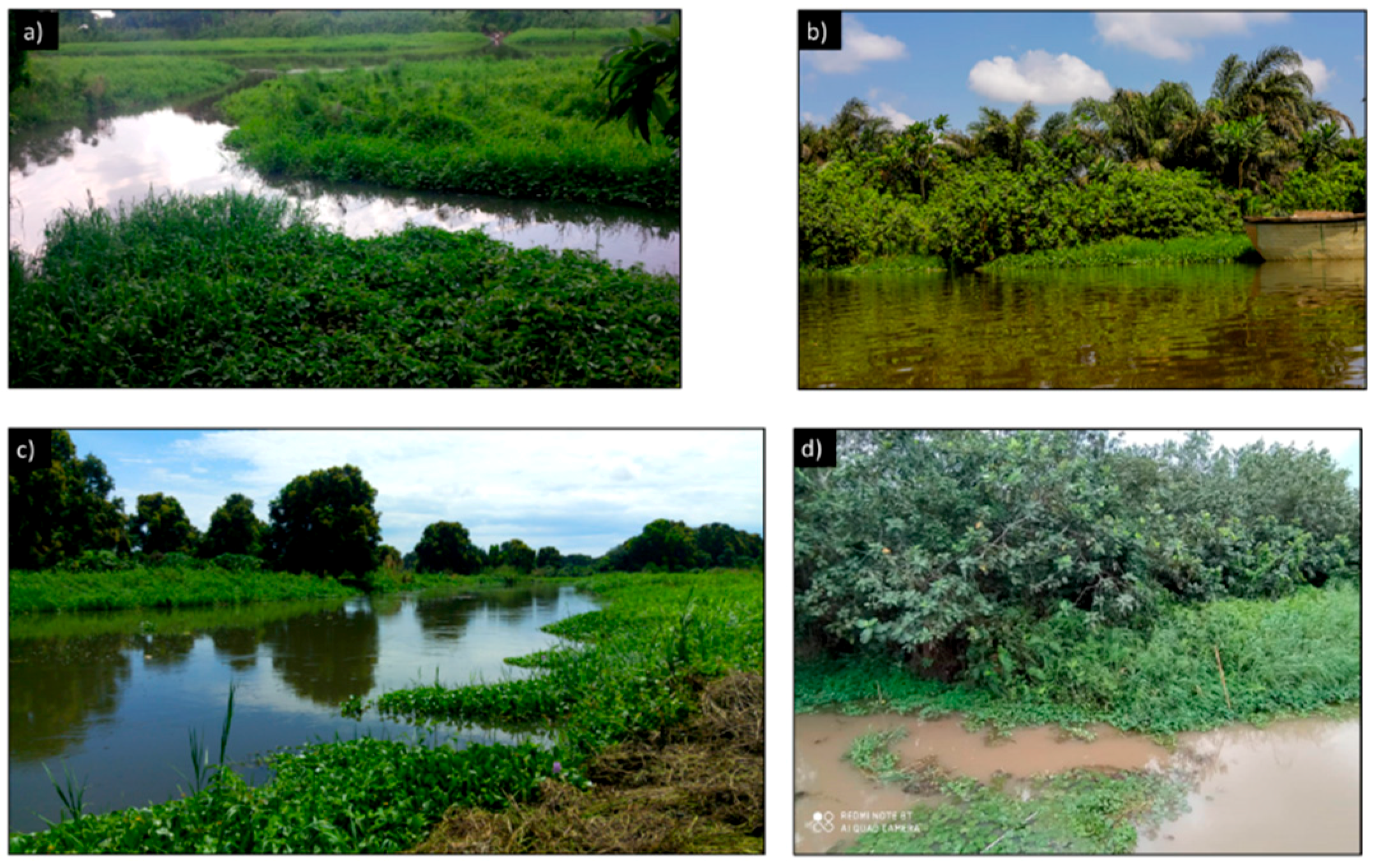 Diversity 13 00165 g003