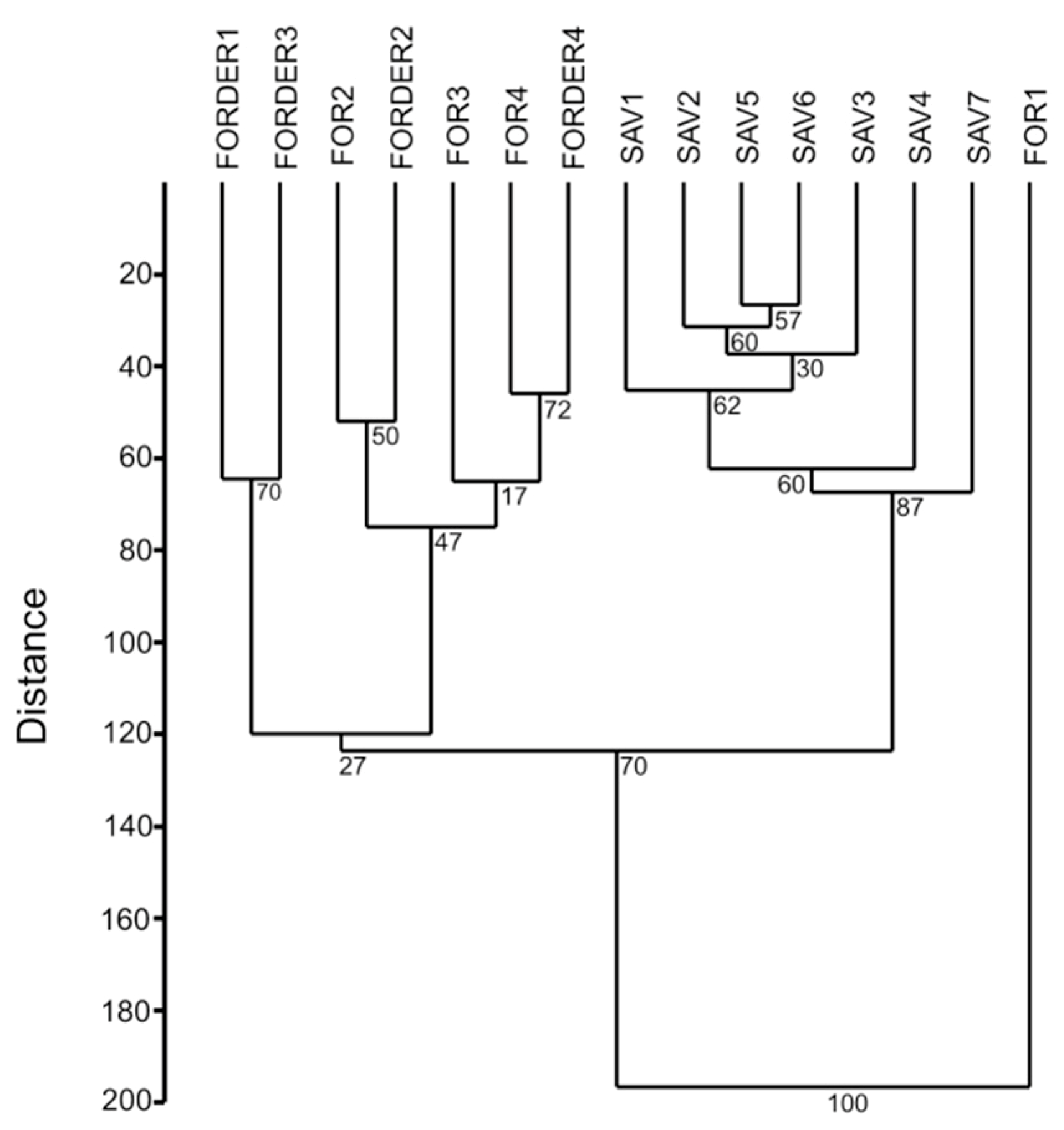 Diversity 13 00165 g008