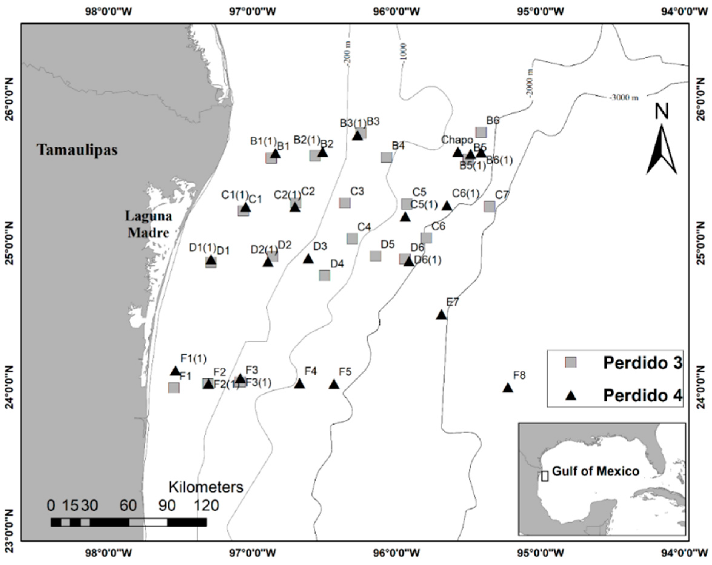 Diversity 13 00166 g001