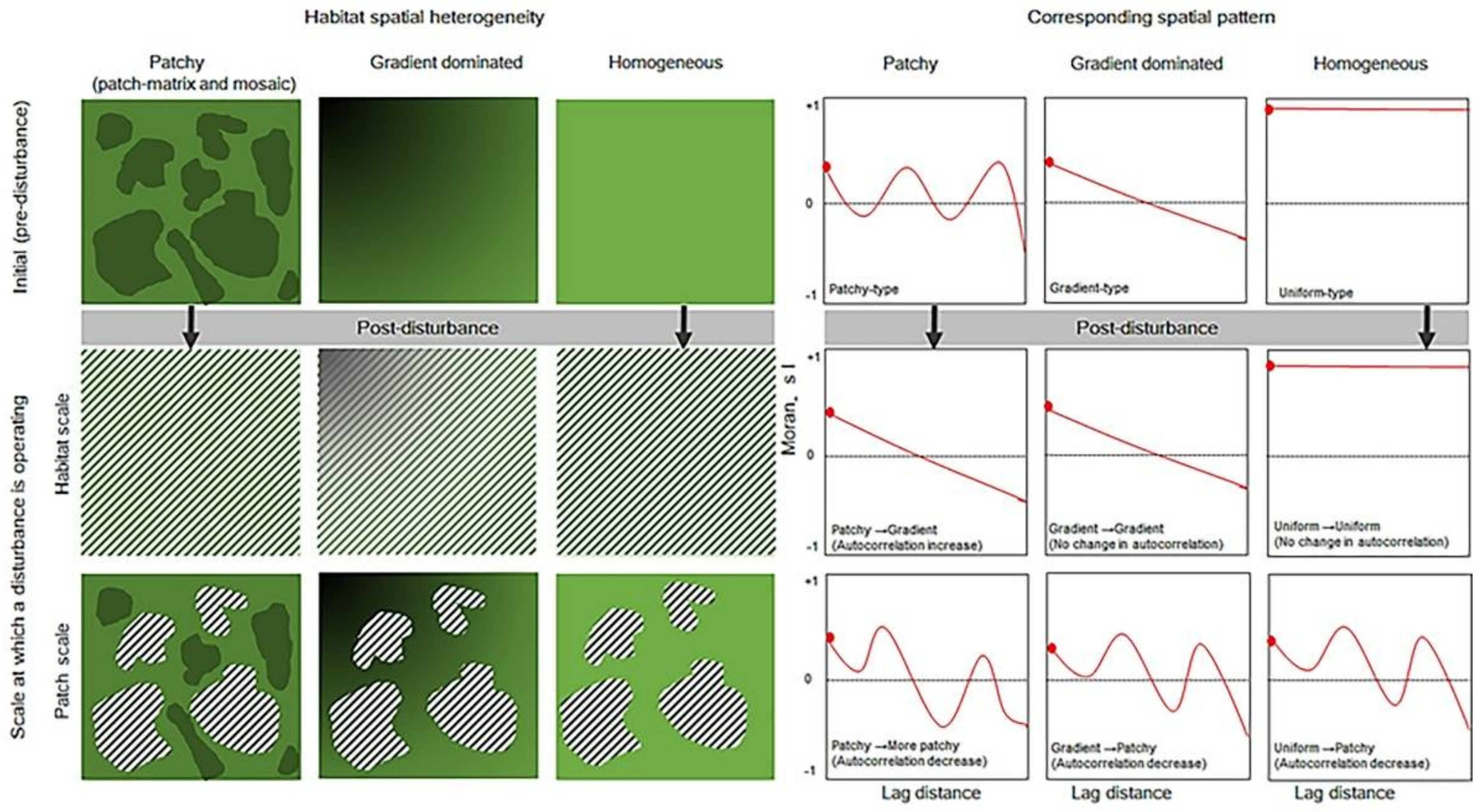 Diversity 13 00167 g001