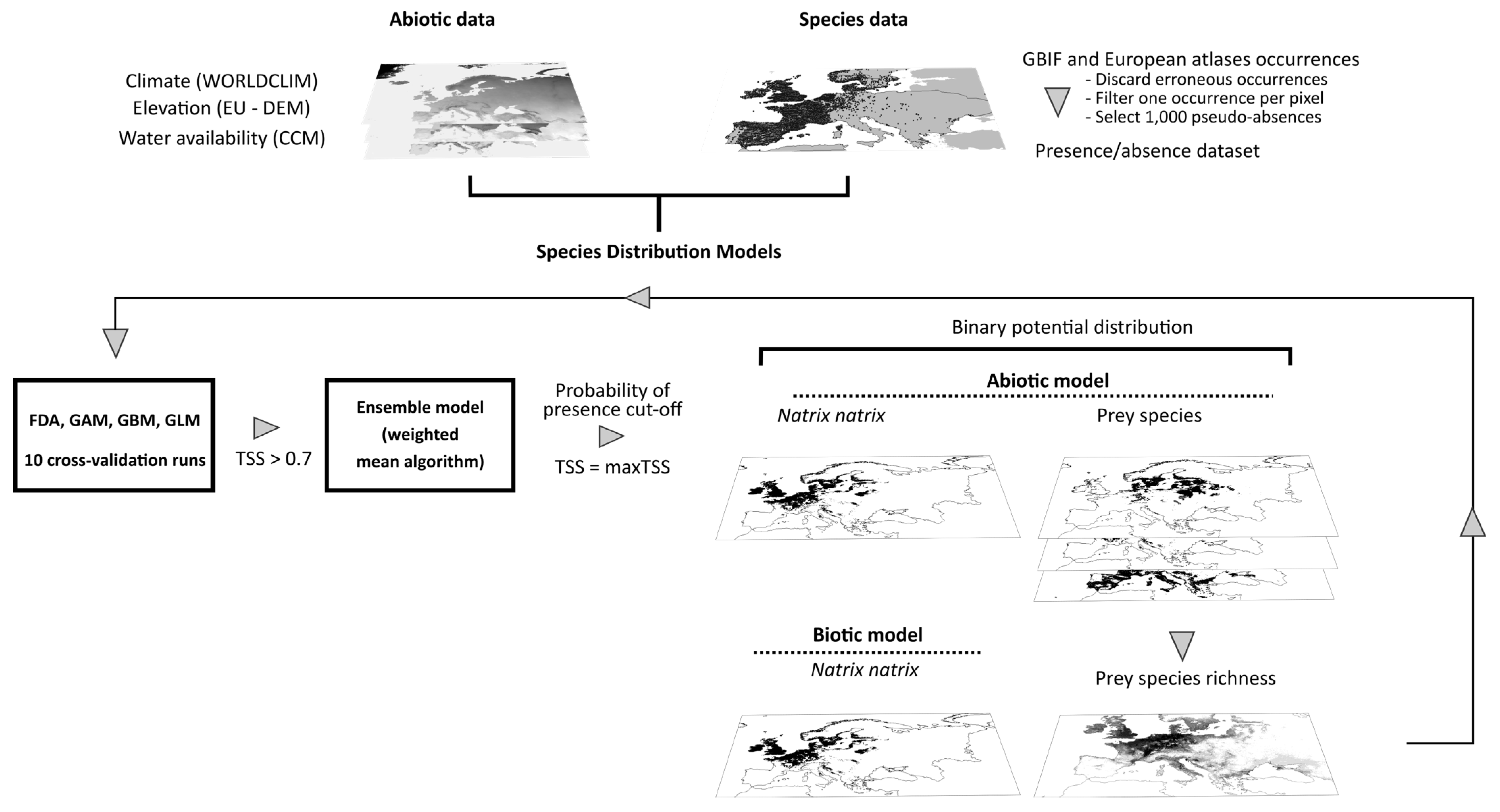 Diversity 13 00169 g001