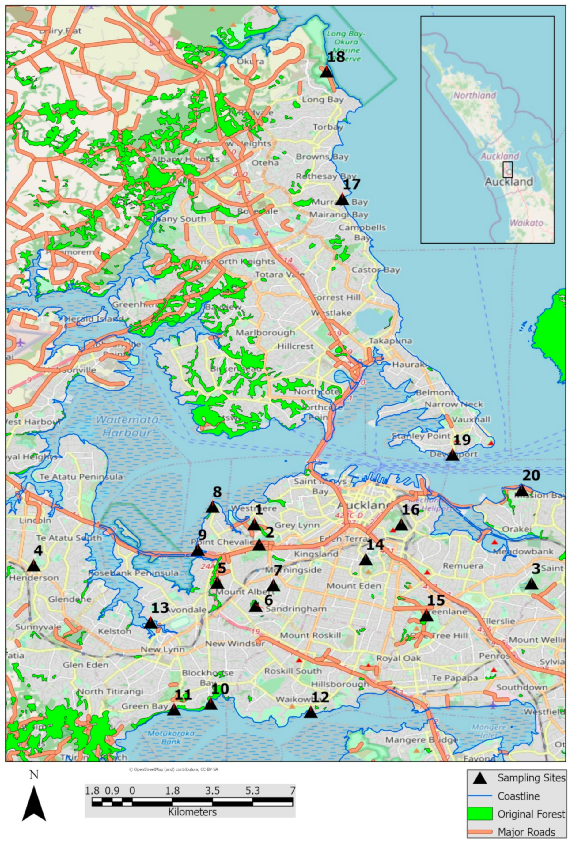 Diversity 13 00170 g001