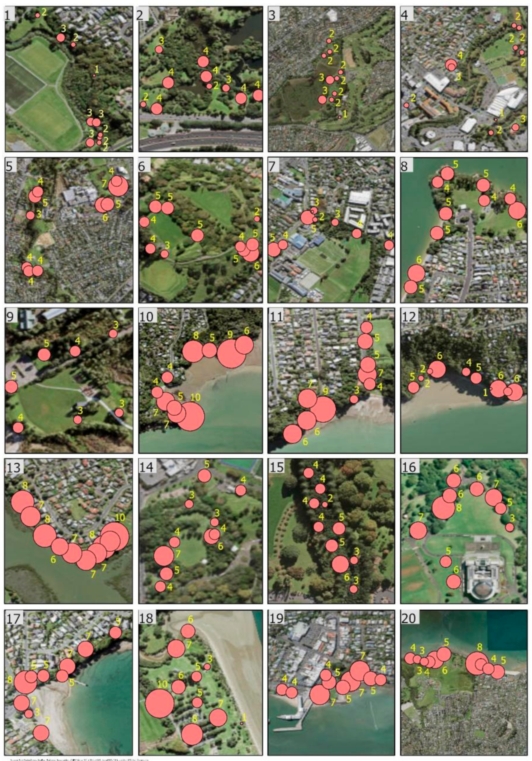 Diversity 13 00170 g003