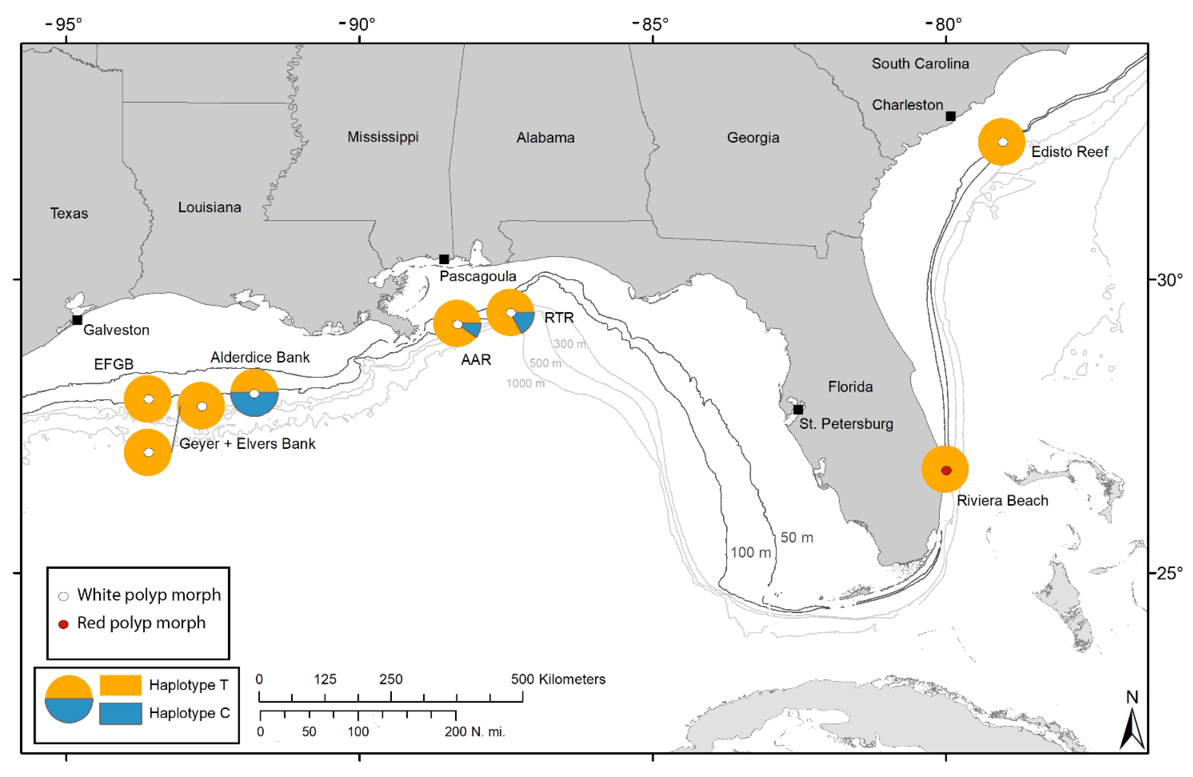 Diversity 13 00172 g003