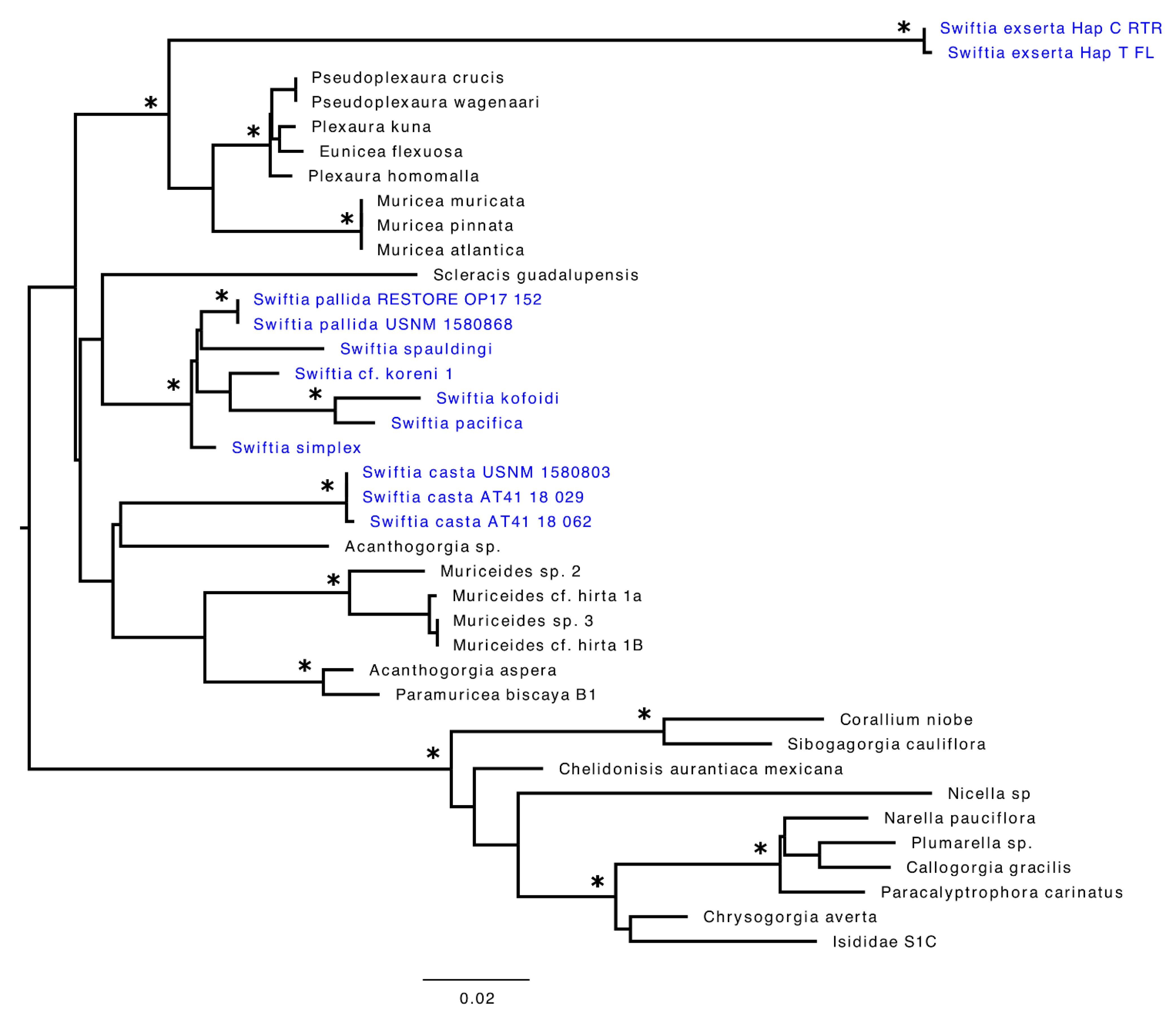 Diversity 13 00172 g004
