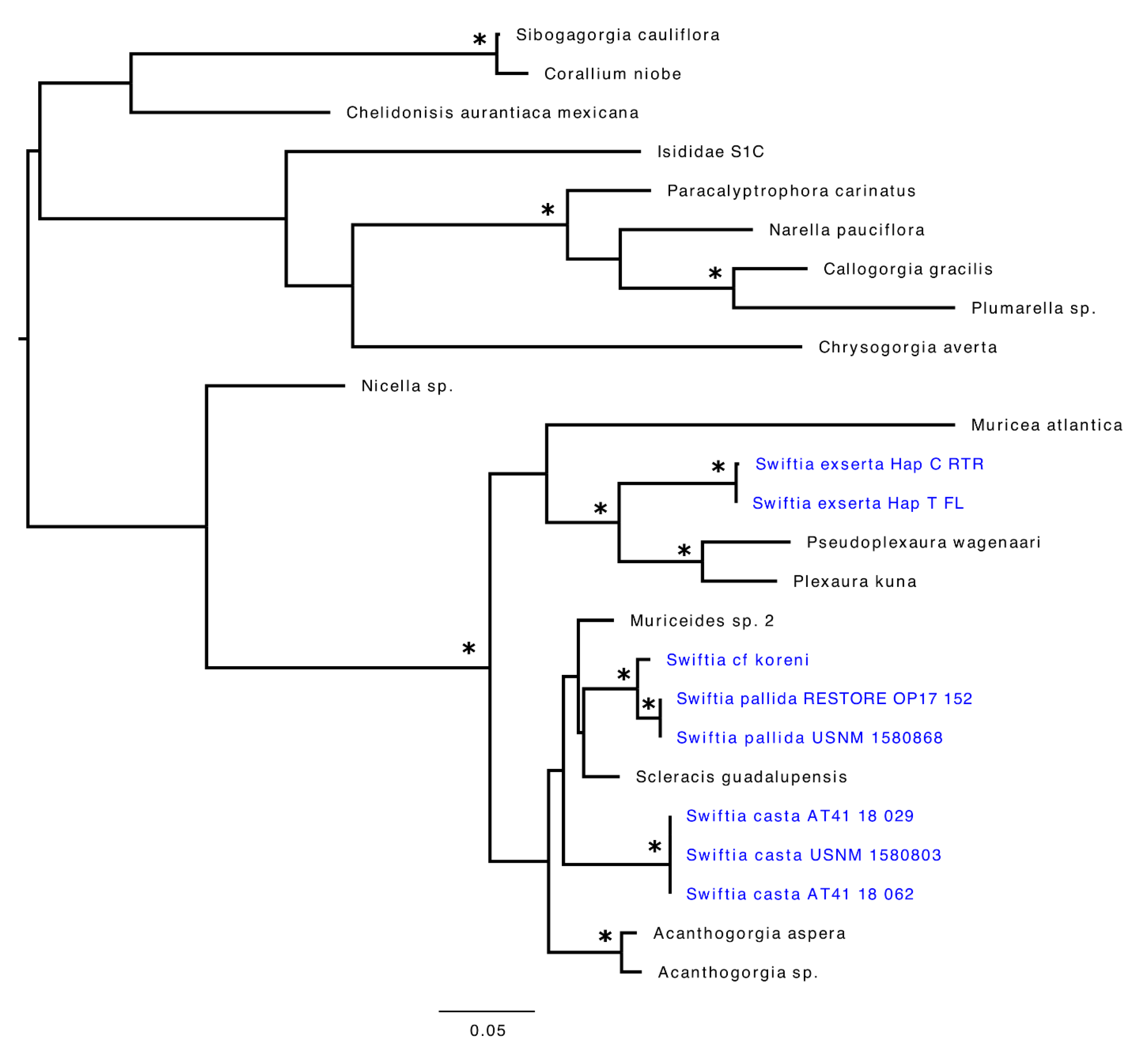 Diversity 13 00172 g005