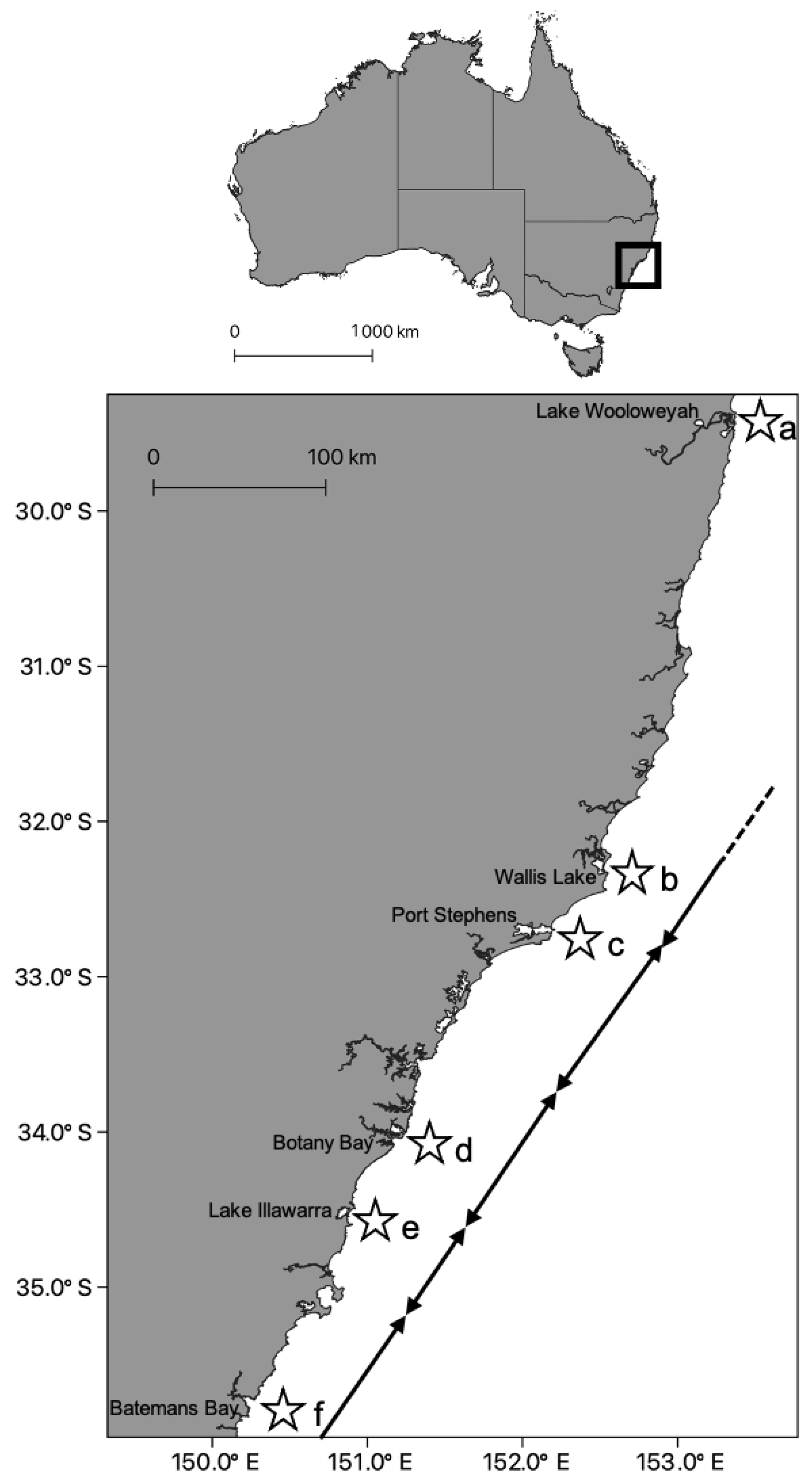 Diversity 13 00174 g002 Diversity 13 00174 g002