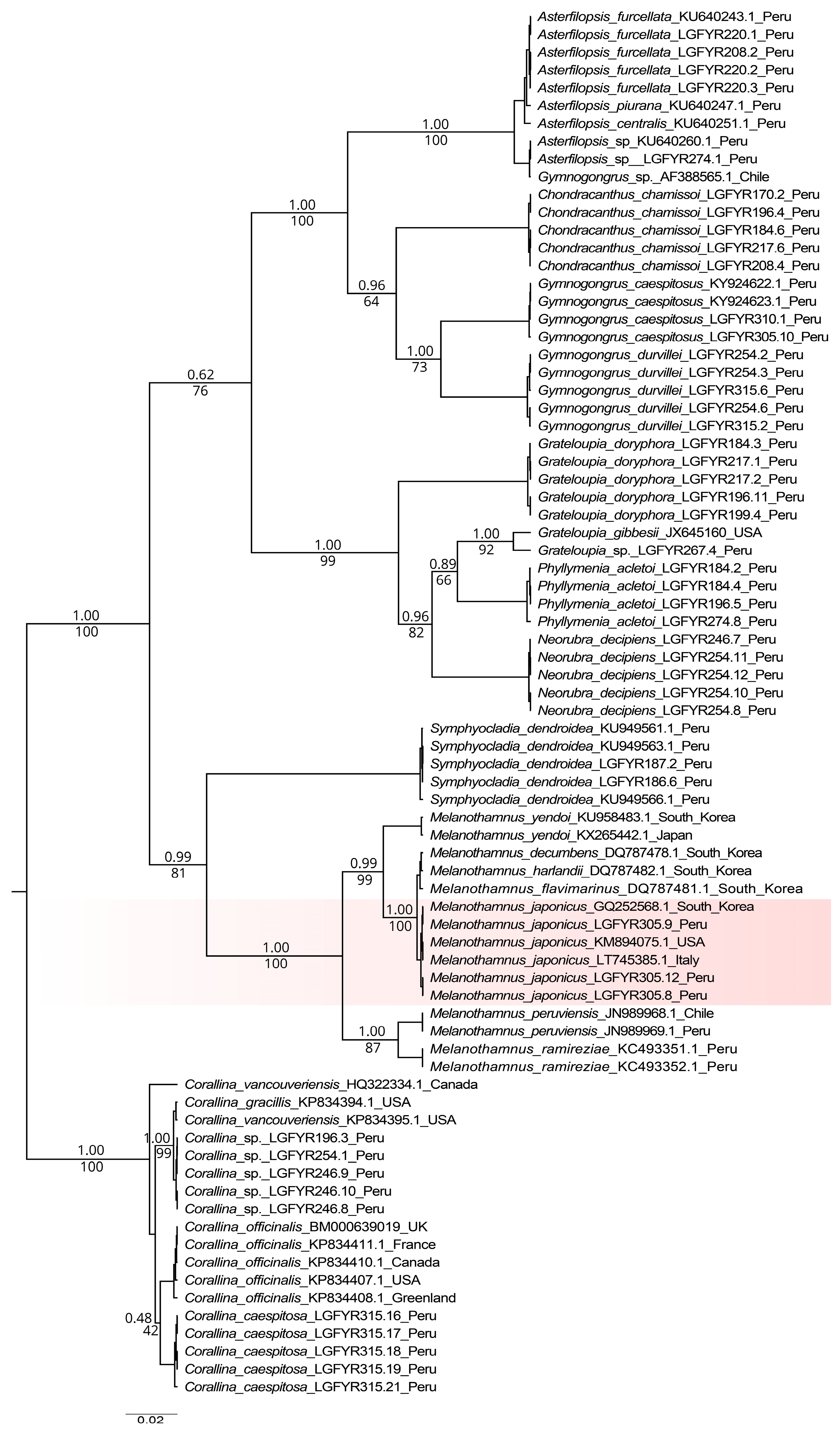 Diversity 13 00176 g002