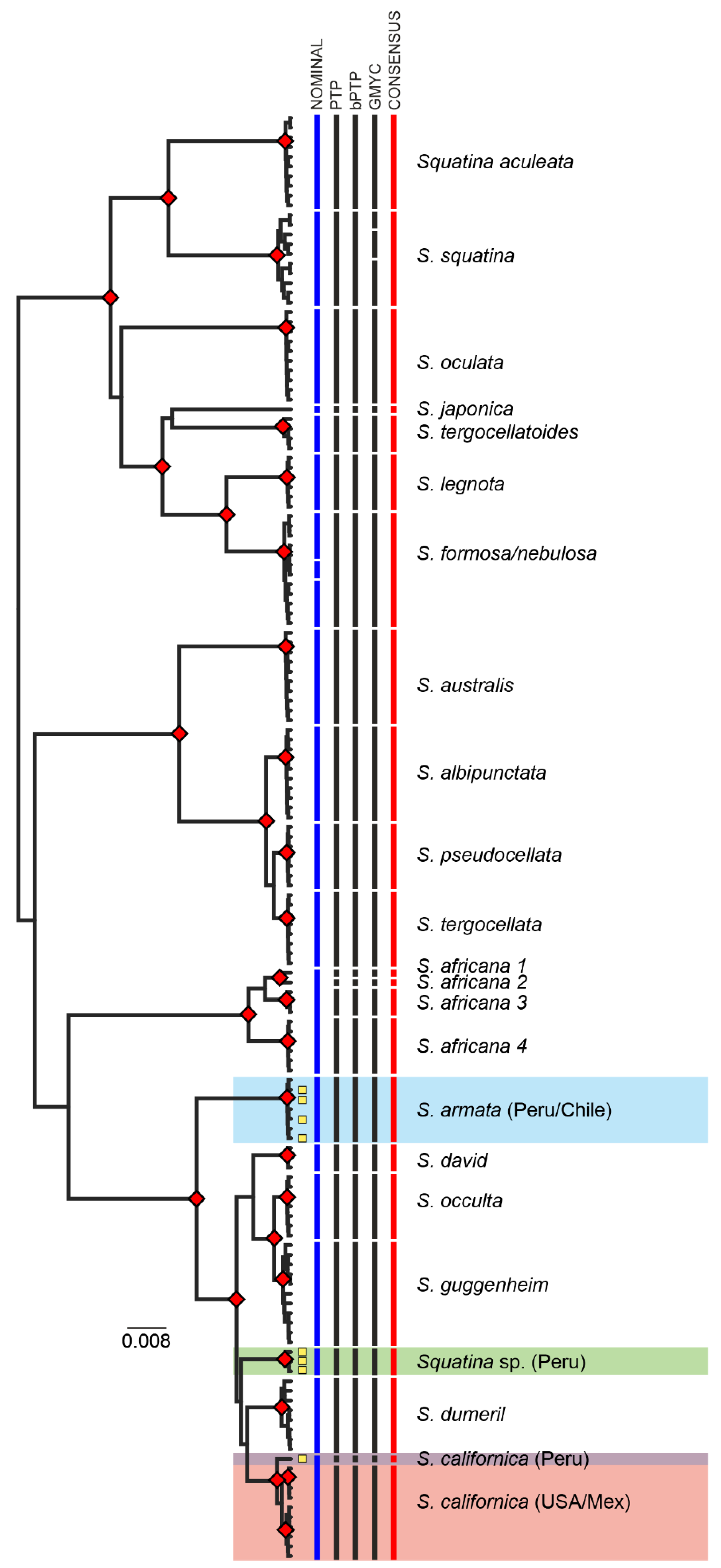 Diversity 13 00177 g003