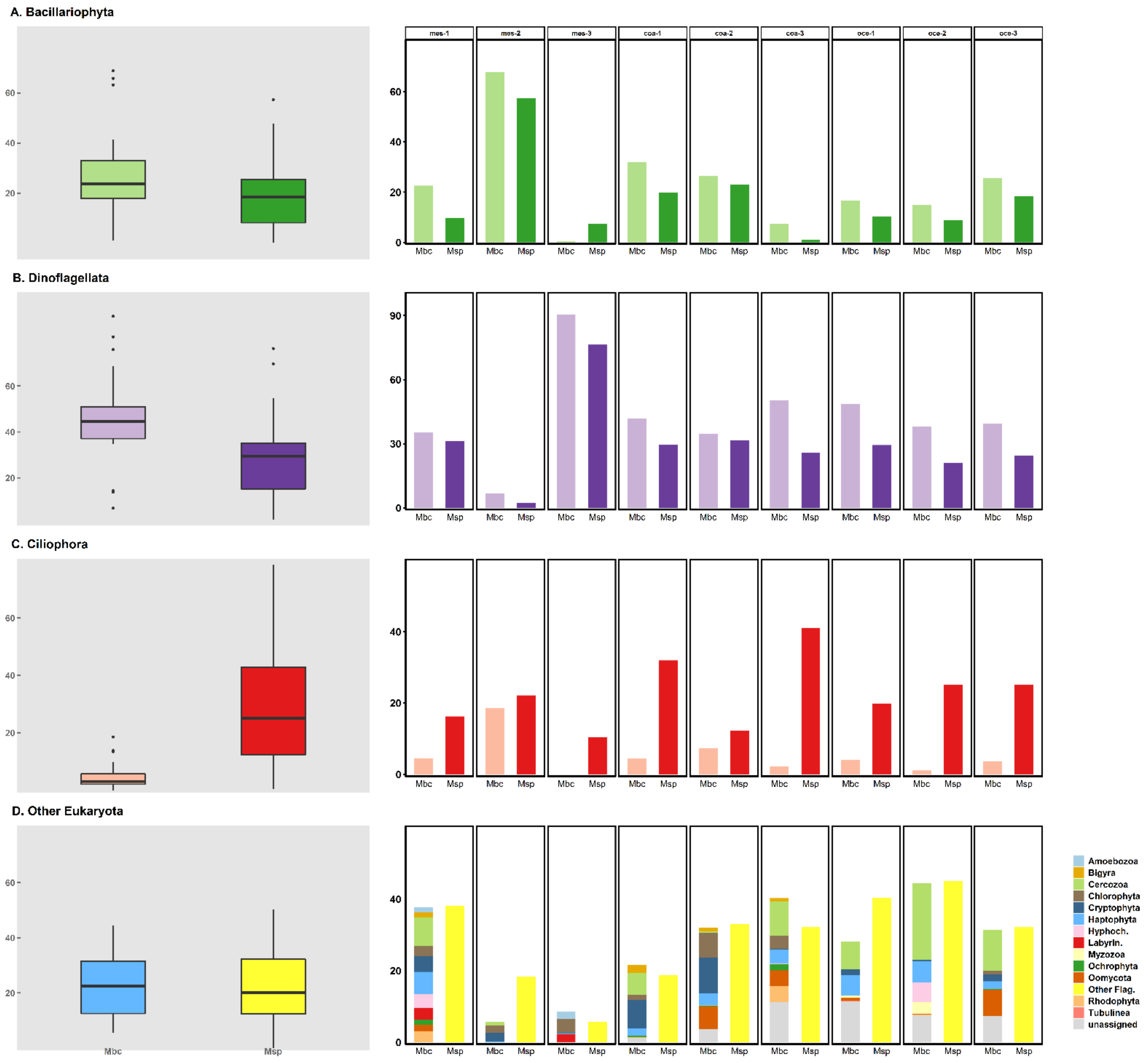 Diversity 13 00180 g001
