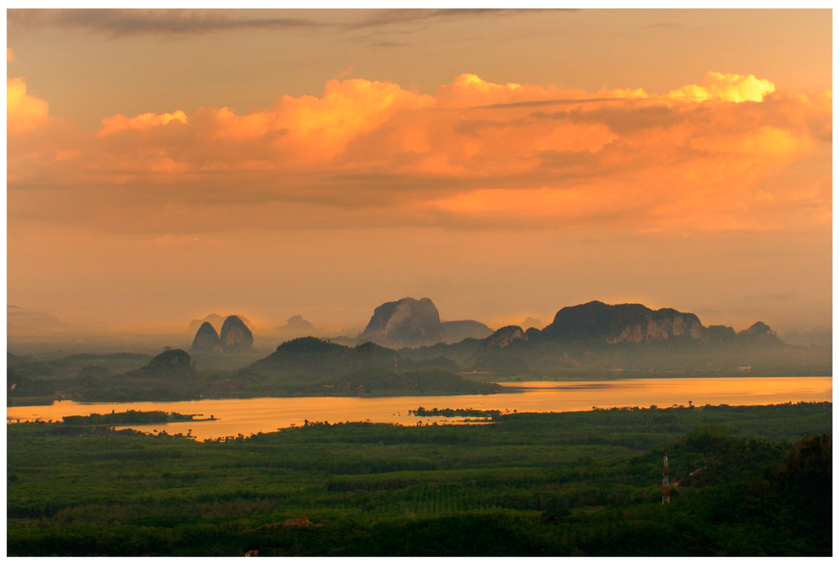 Diversity 13 00183 g001