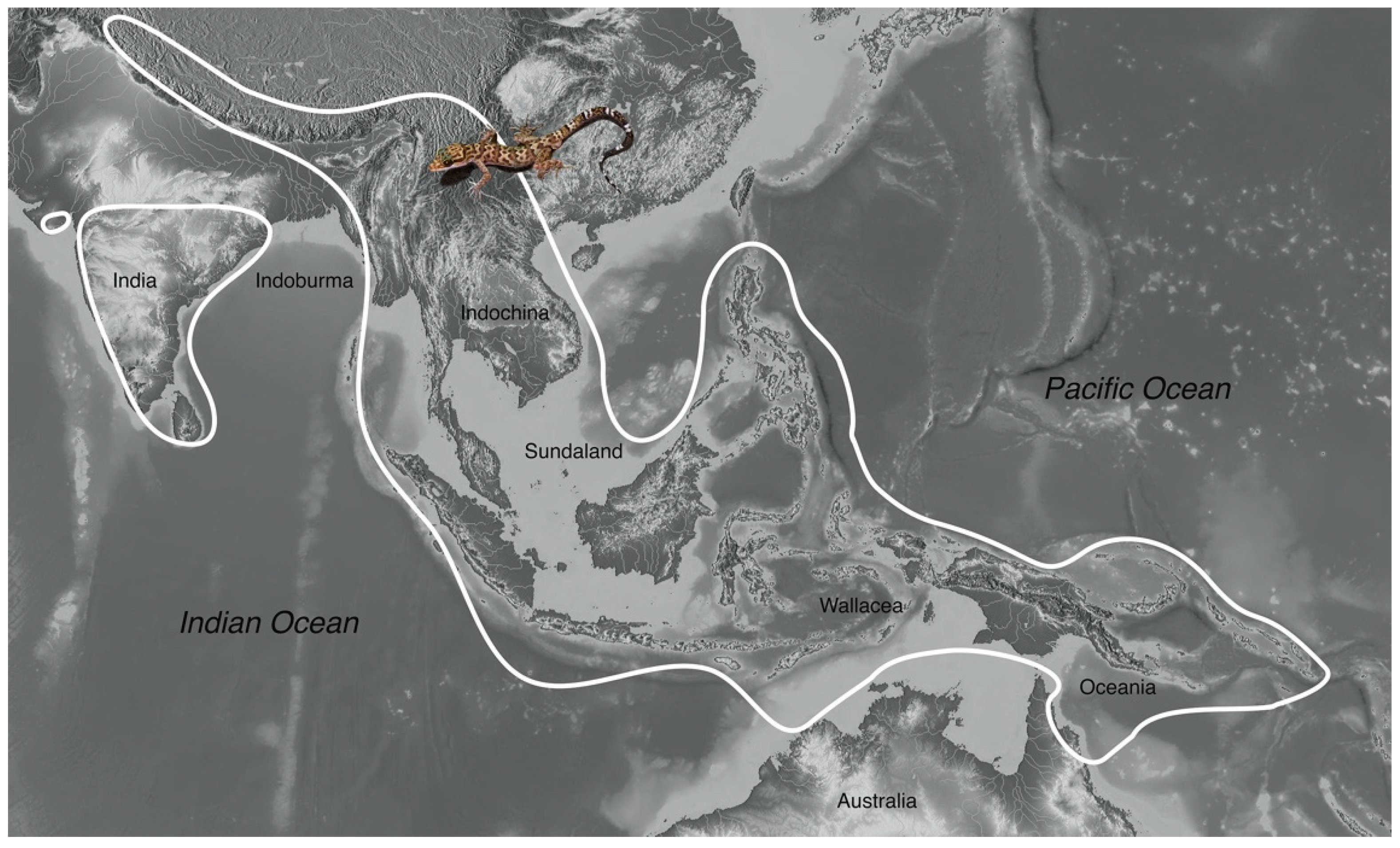 Diversity 13 00183 g003