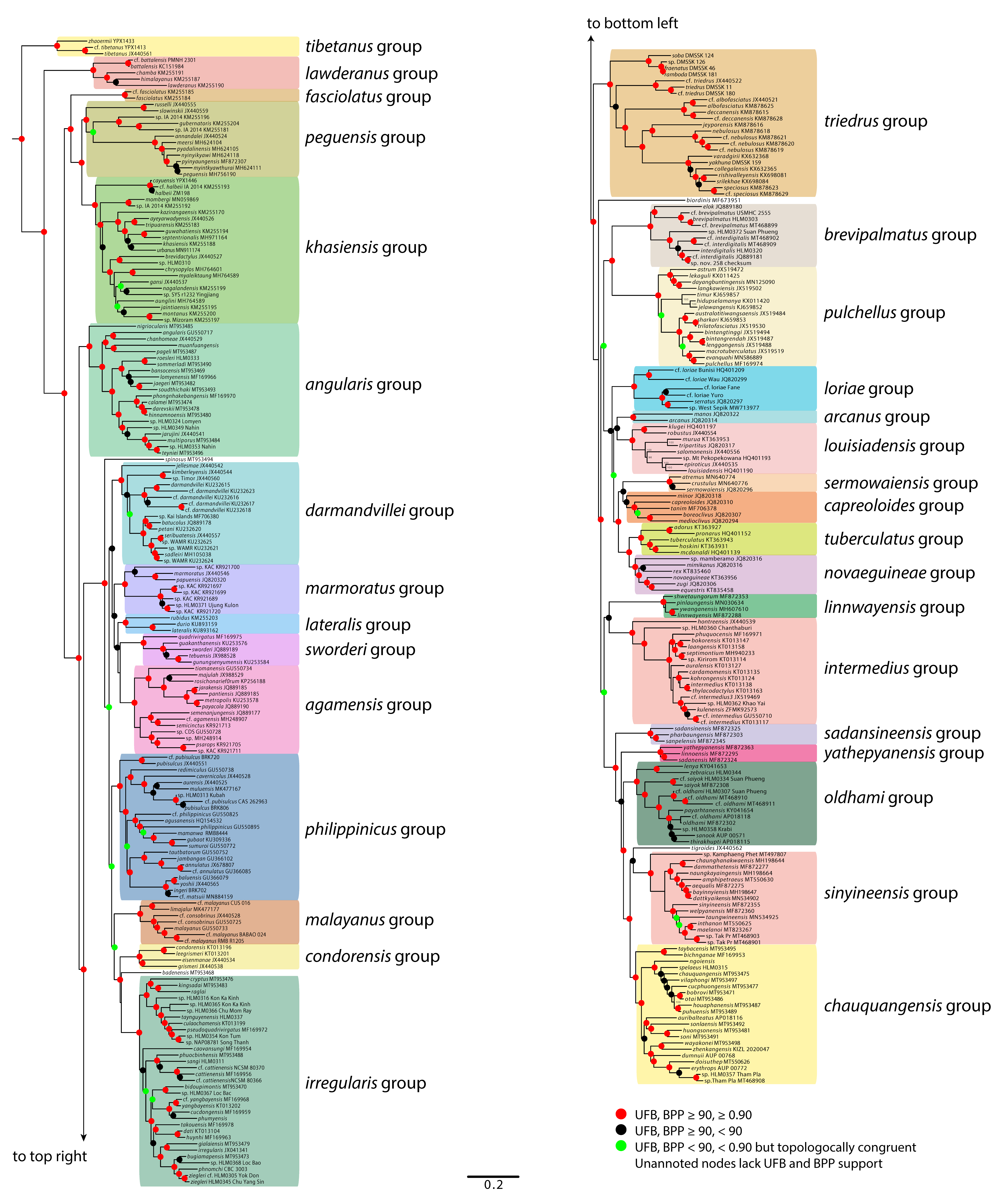 Diversity 13 00183 g006