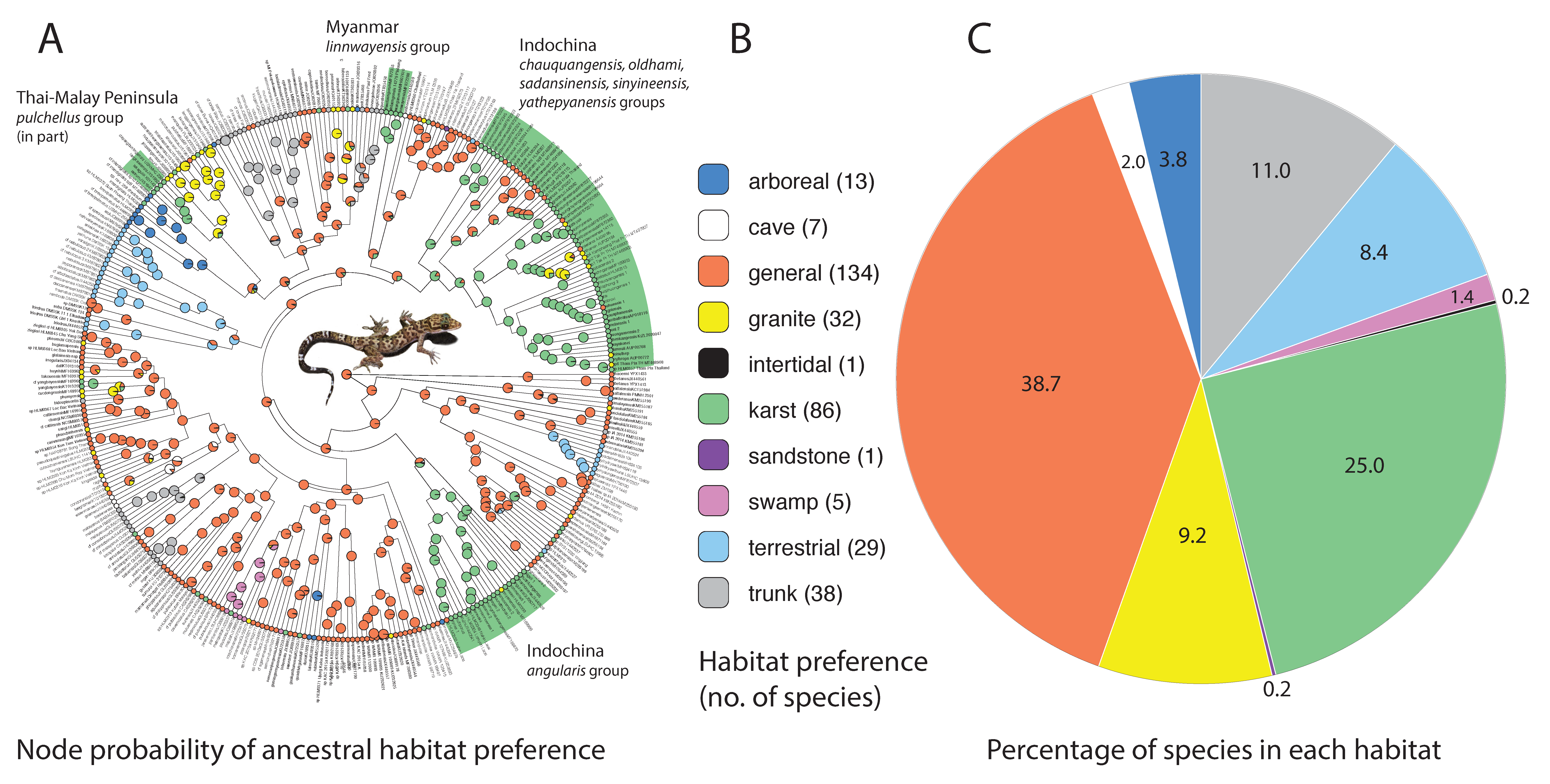 Diversity 13 00183 g007