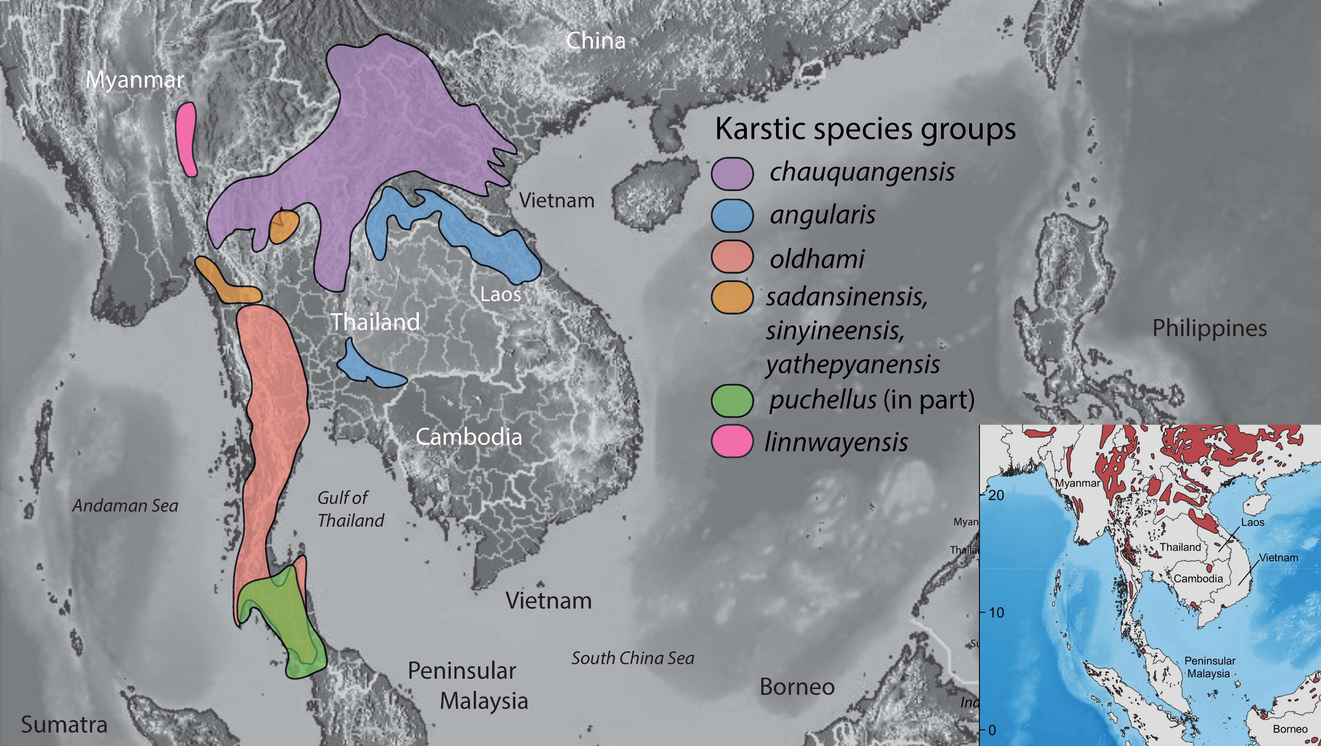 Diversity 13 00183 g008