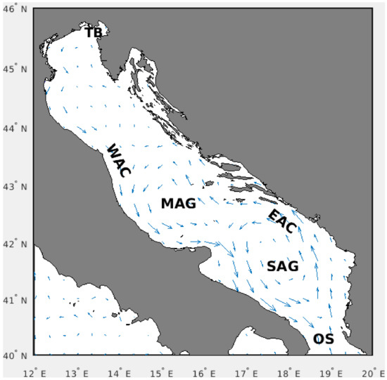 Diversity 13 00186 g002