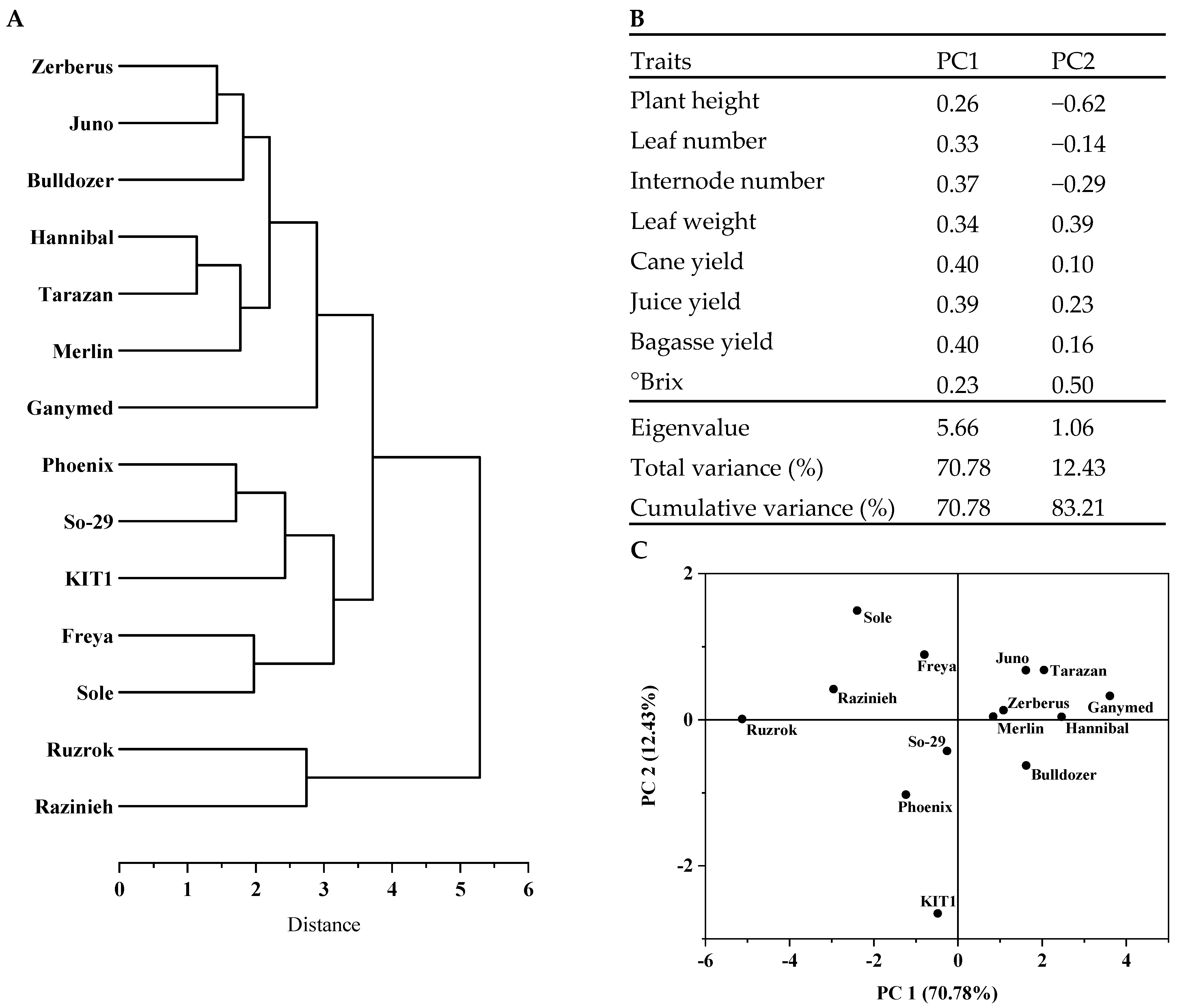 Diversity 13 00192 g003 Diversity 13 00192 g003