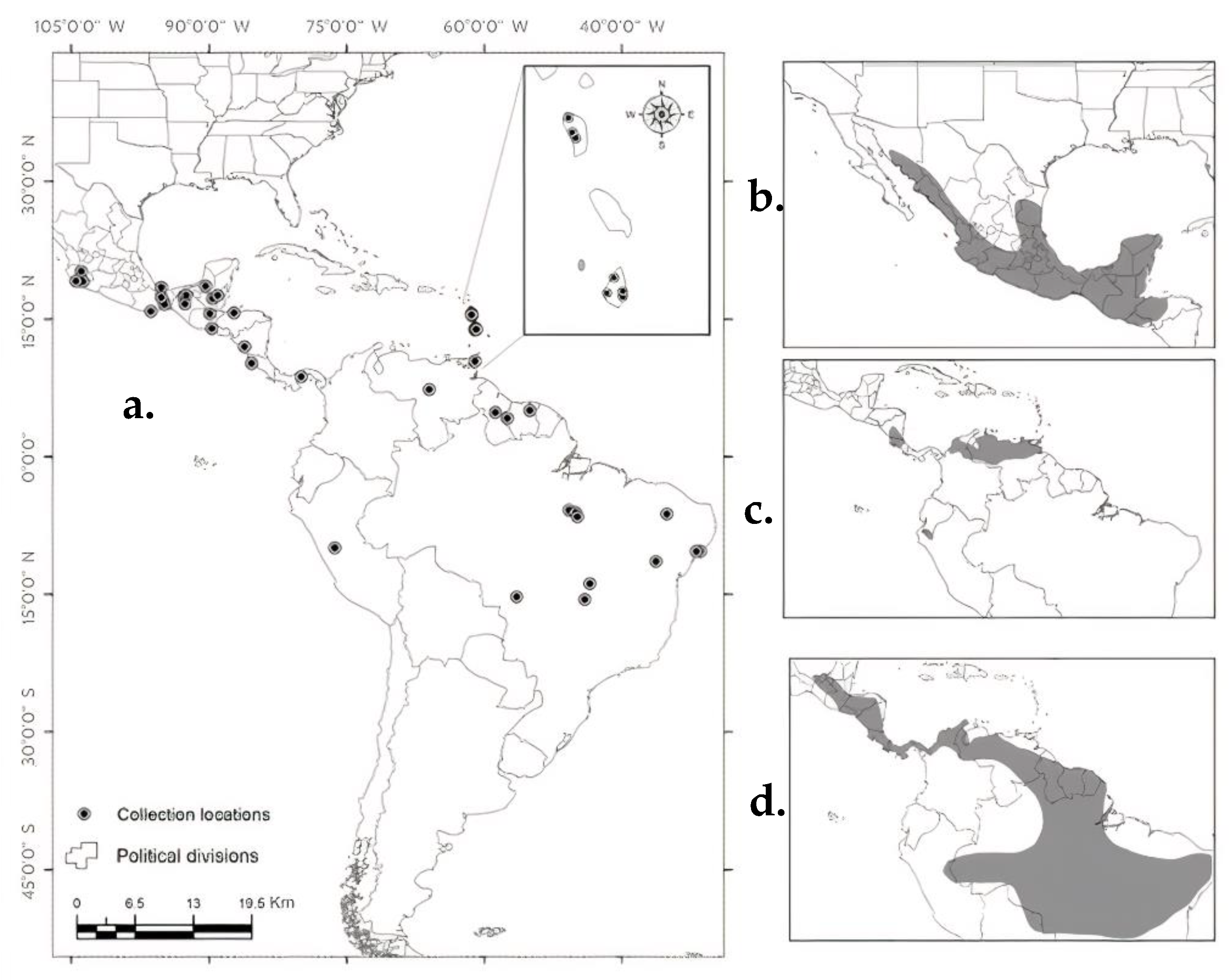 Diversity 13 00194 g001