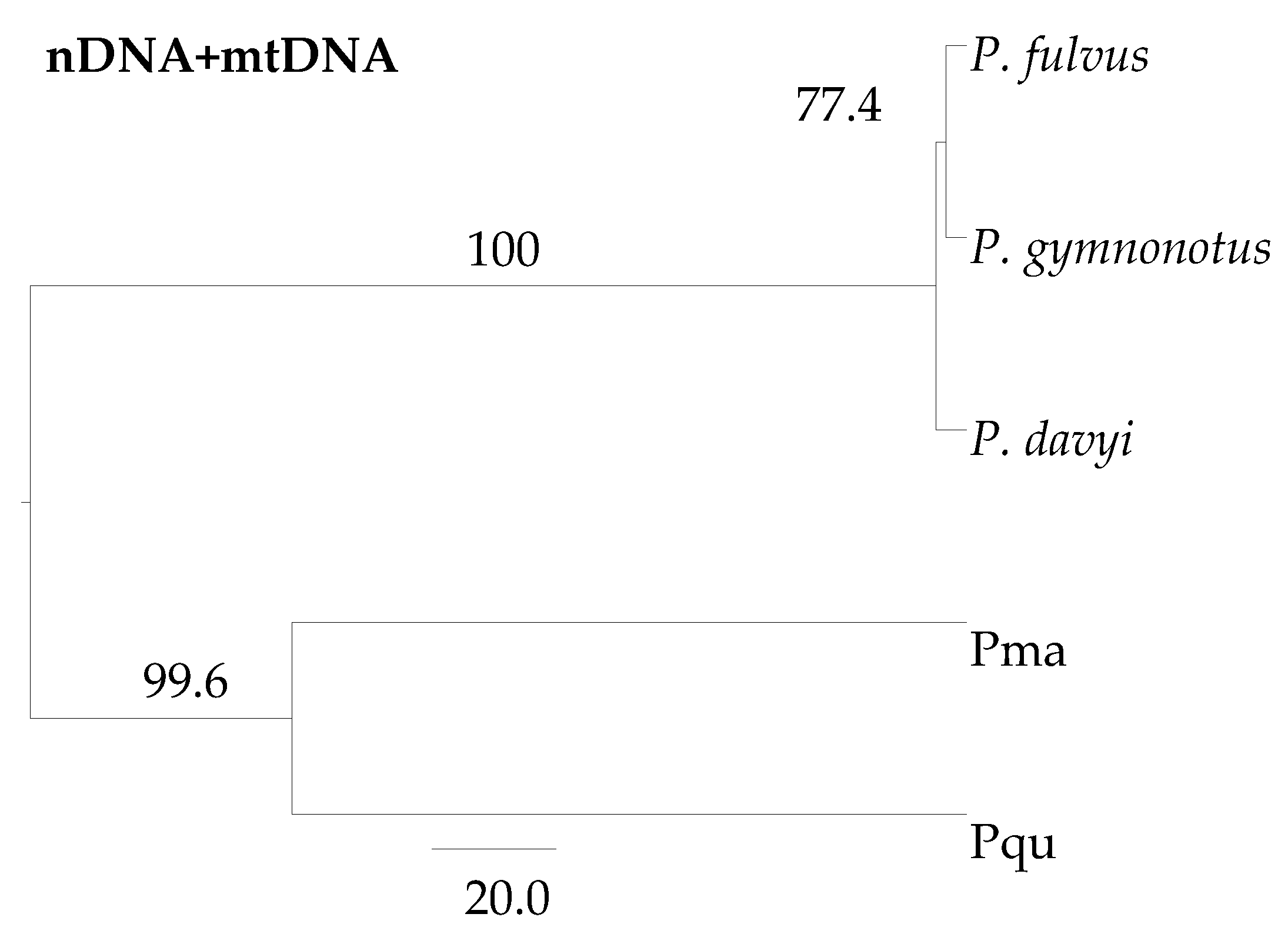 Diversity 13 00194 g003