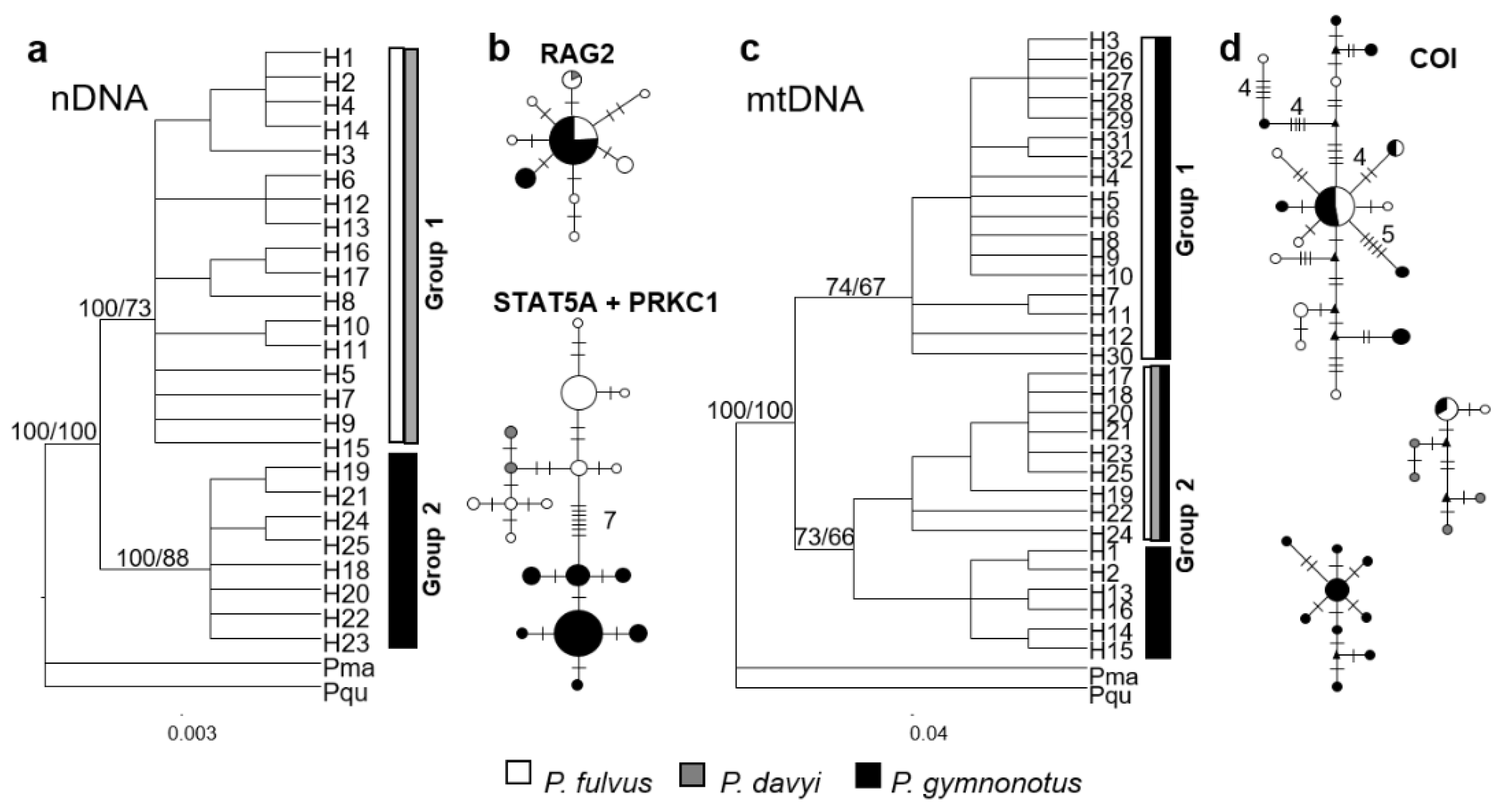Diversity 13 00194 g004