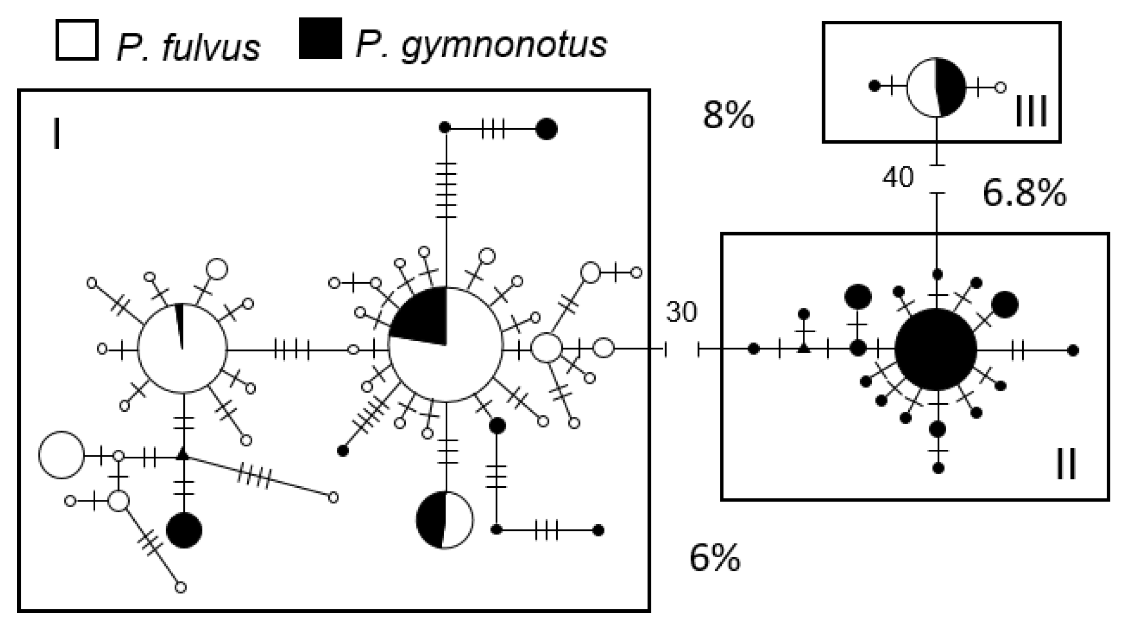 Diversity 13 00194 g005
