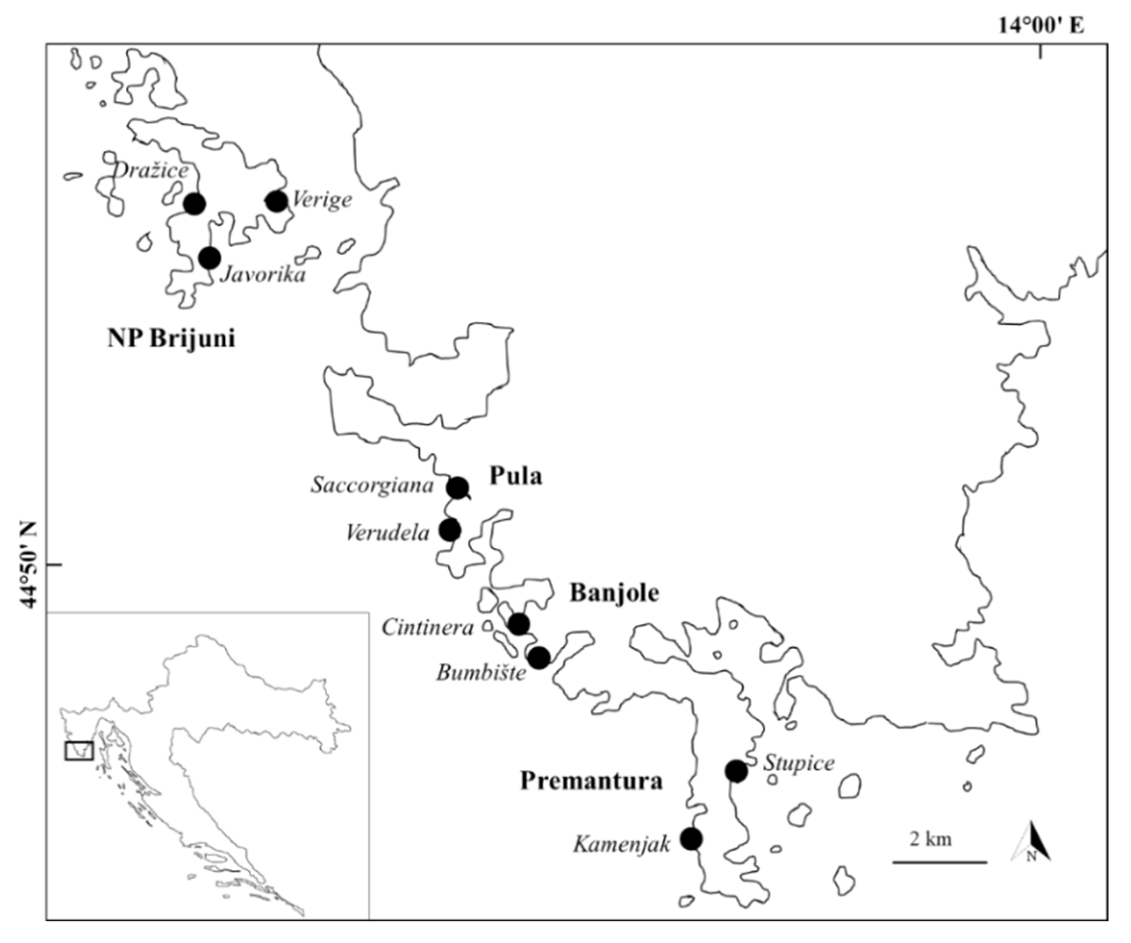 Diversity 13 00196 g001