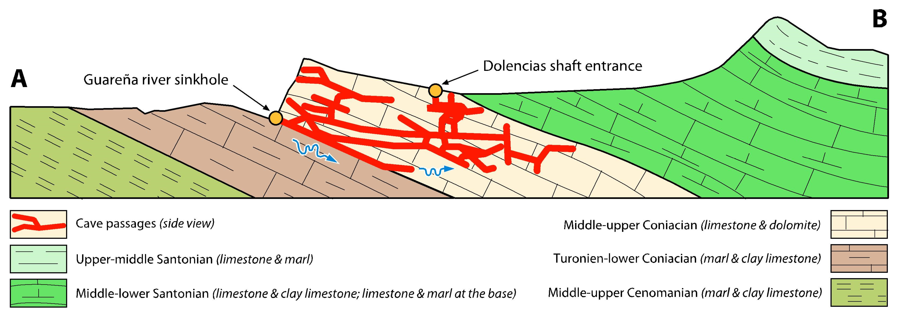 Diversity 13 00199 g002
