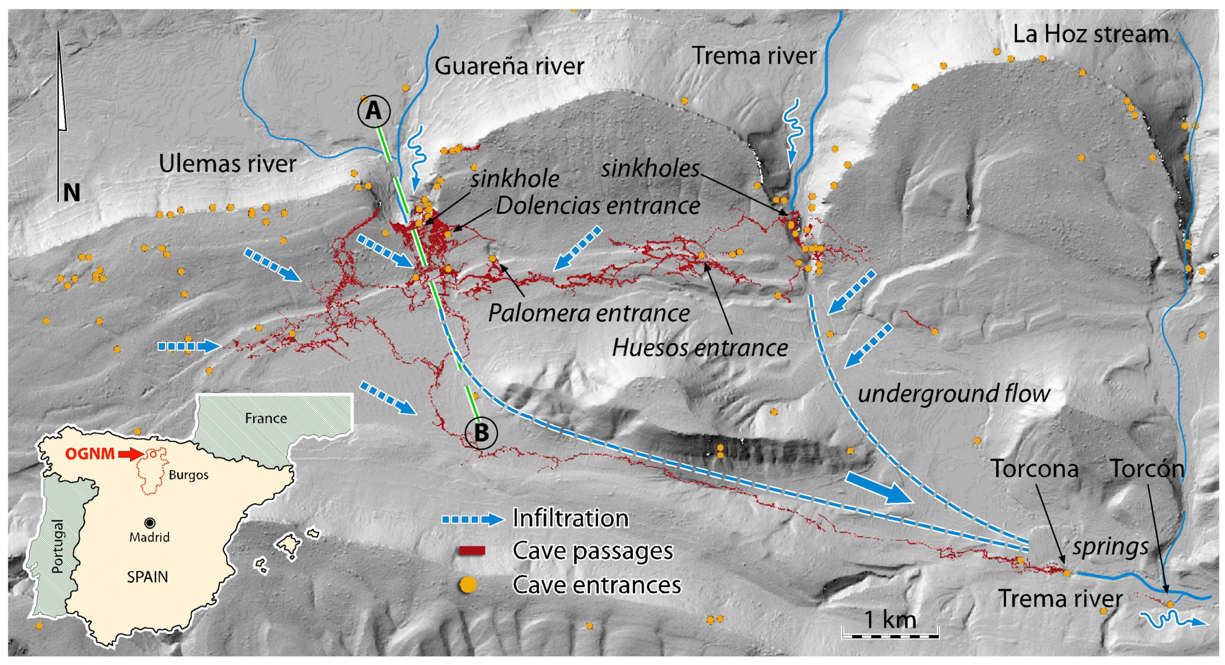 Diversity 13 00199 g003